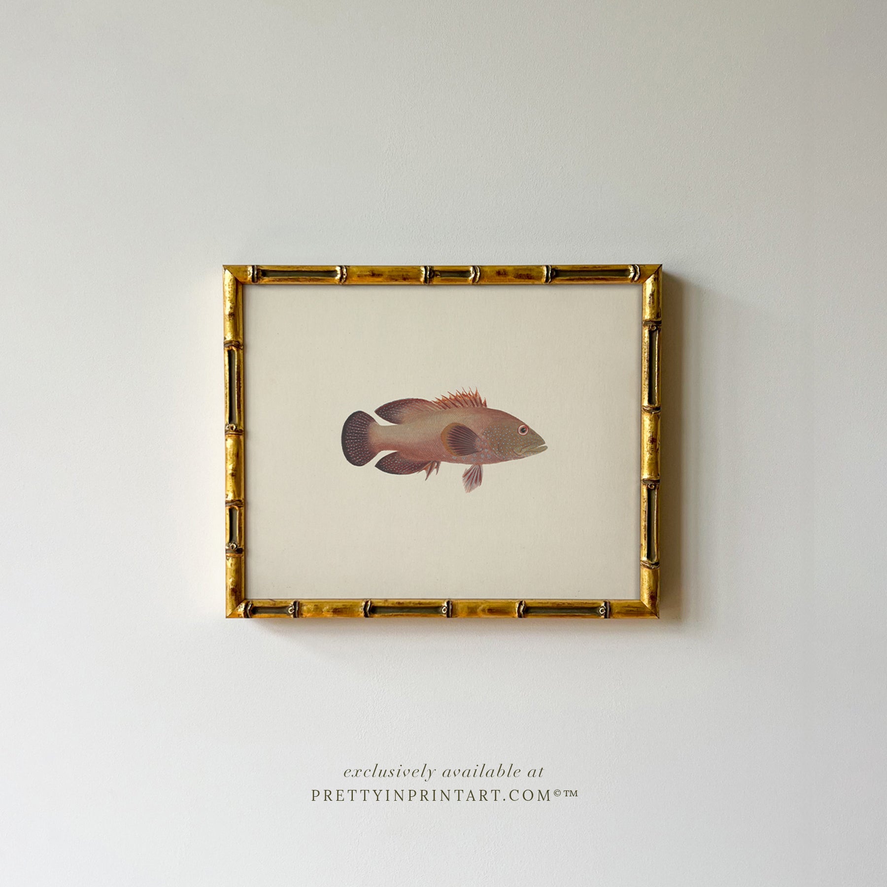 Vintage Fish Art Print 007010 in Gold Bamboo Frame (0178)