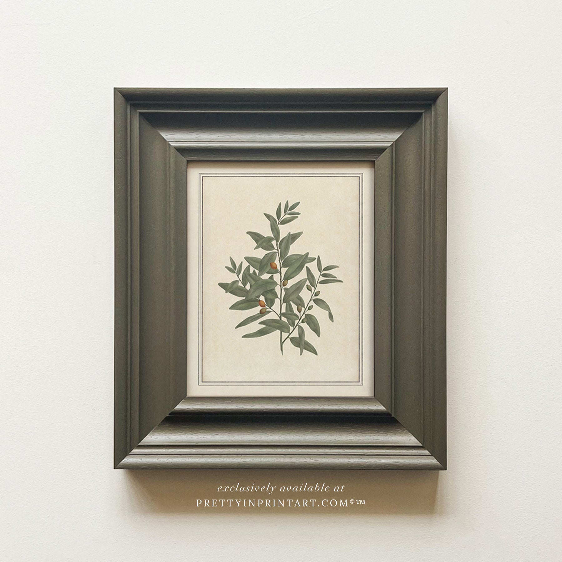 Framed vintage botanical art prints for home decor, Vintage plant wall art with traditional picture frame, Ready-to-hang vintage botanical artwork, Framed floral prints for cottagecore interiors