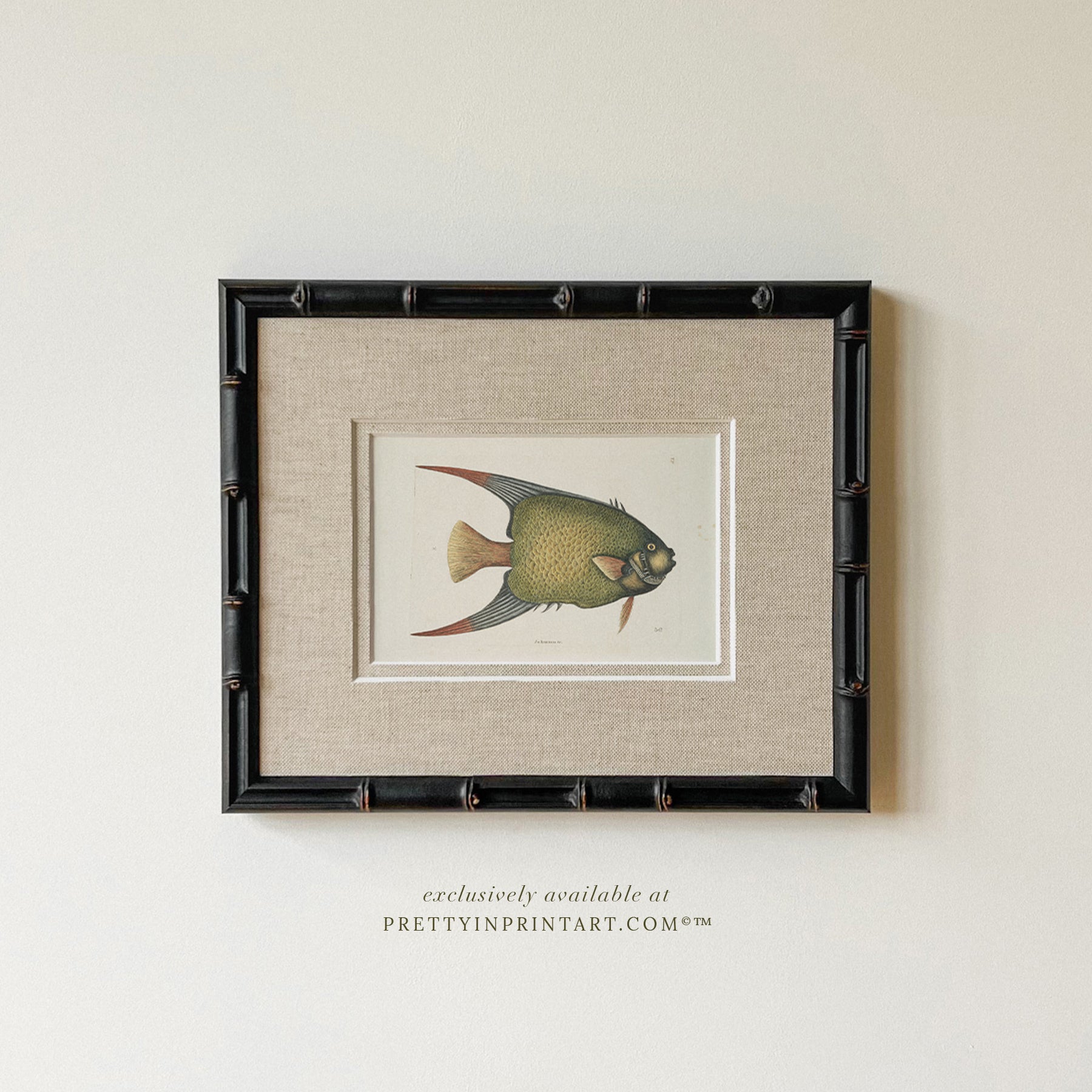 Bamboo Picture Frame, Vintage Style | 269