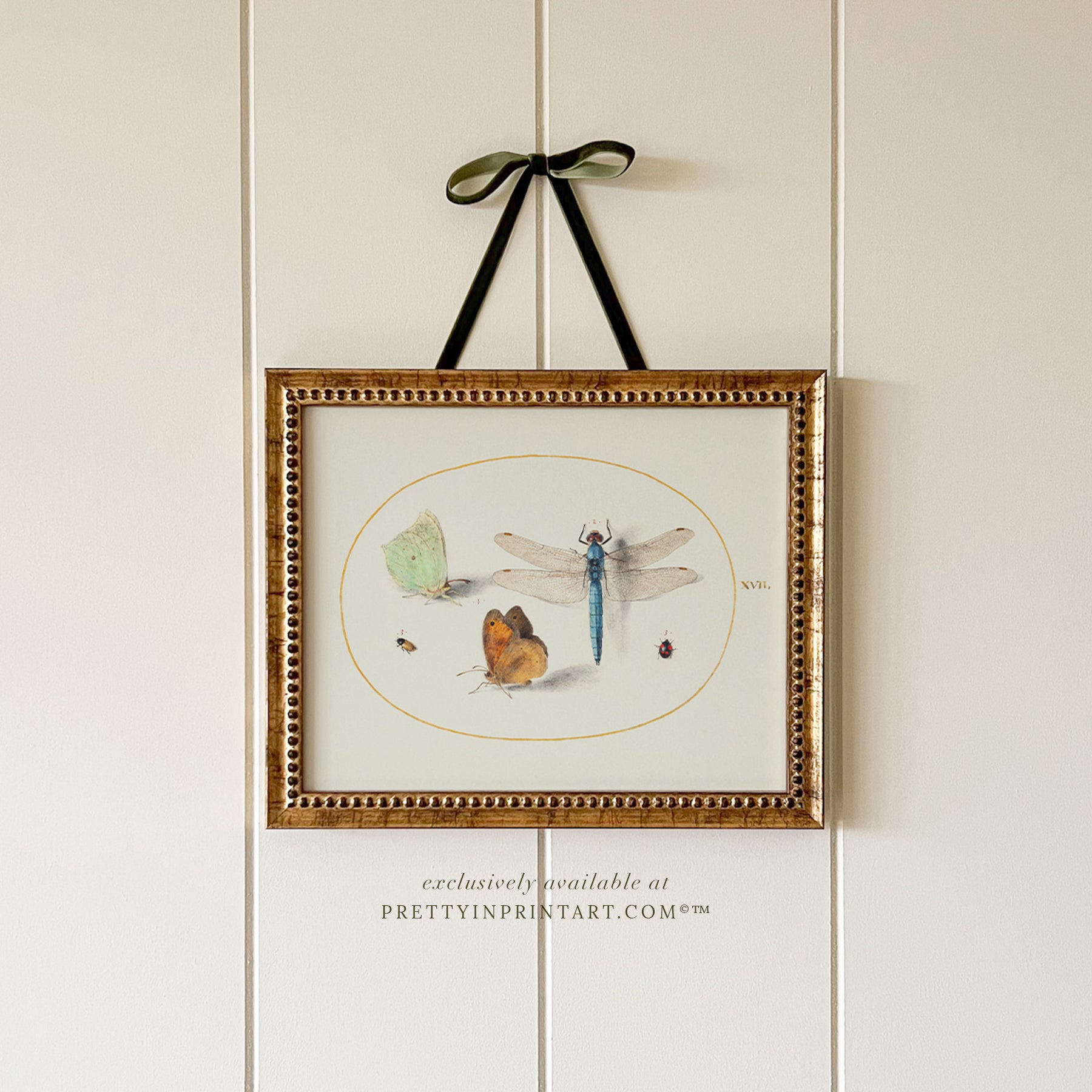 vintage-style nursery art prints featuring bugs, butterflies, beetles, and mini beasts in classic gold and wood frames for children's room decor.