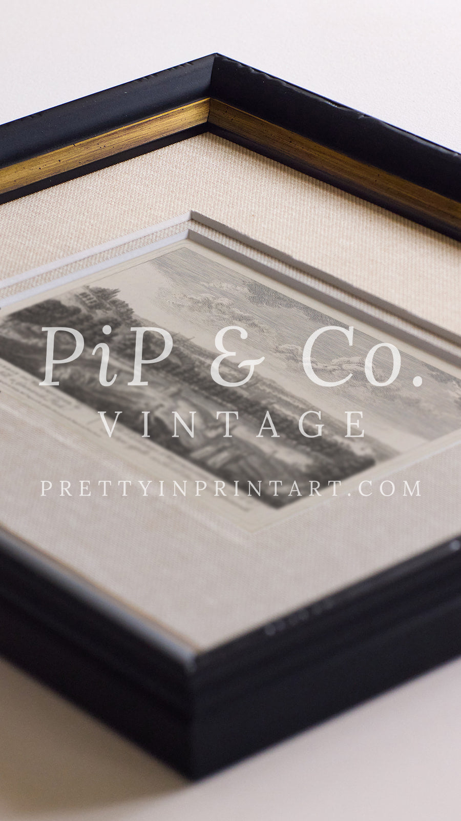 Framed Vintage Landscape Etching | Greenwich Park 2001