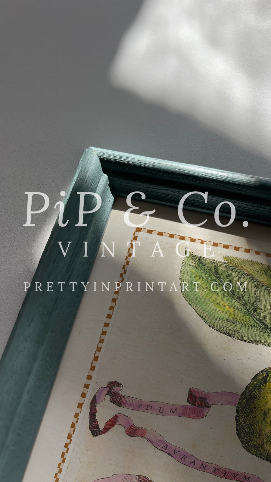 Framed Vintage Citrus Prints – Blue Farrow & Ball Frames for Kitchen Walls 003