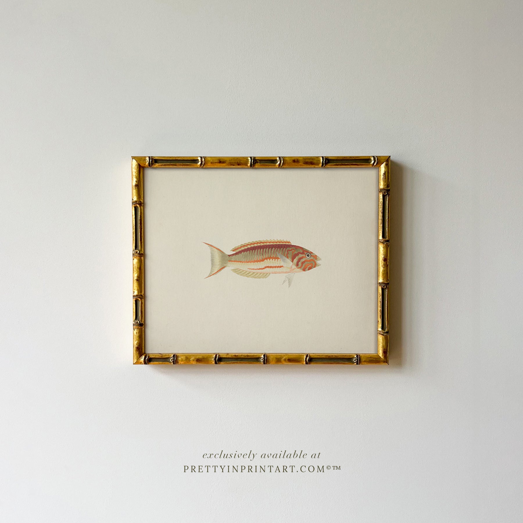 Vintage Fish Art Print 007011 in Gold Bamboo Frame (0178)