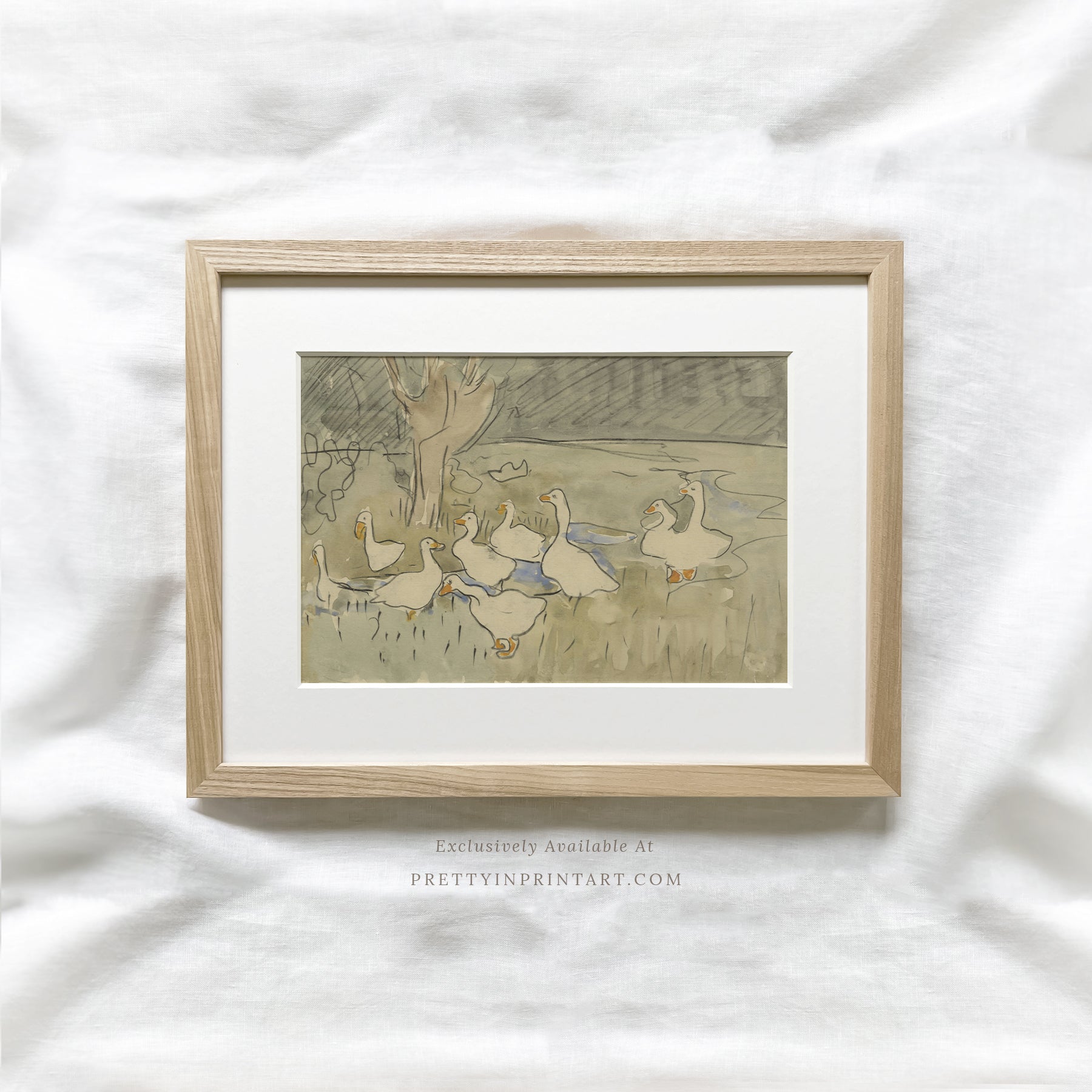 Vintage Duck Sketch Art 00549 | Framed & Mounted Print