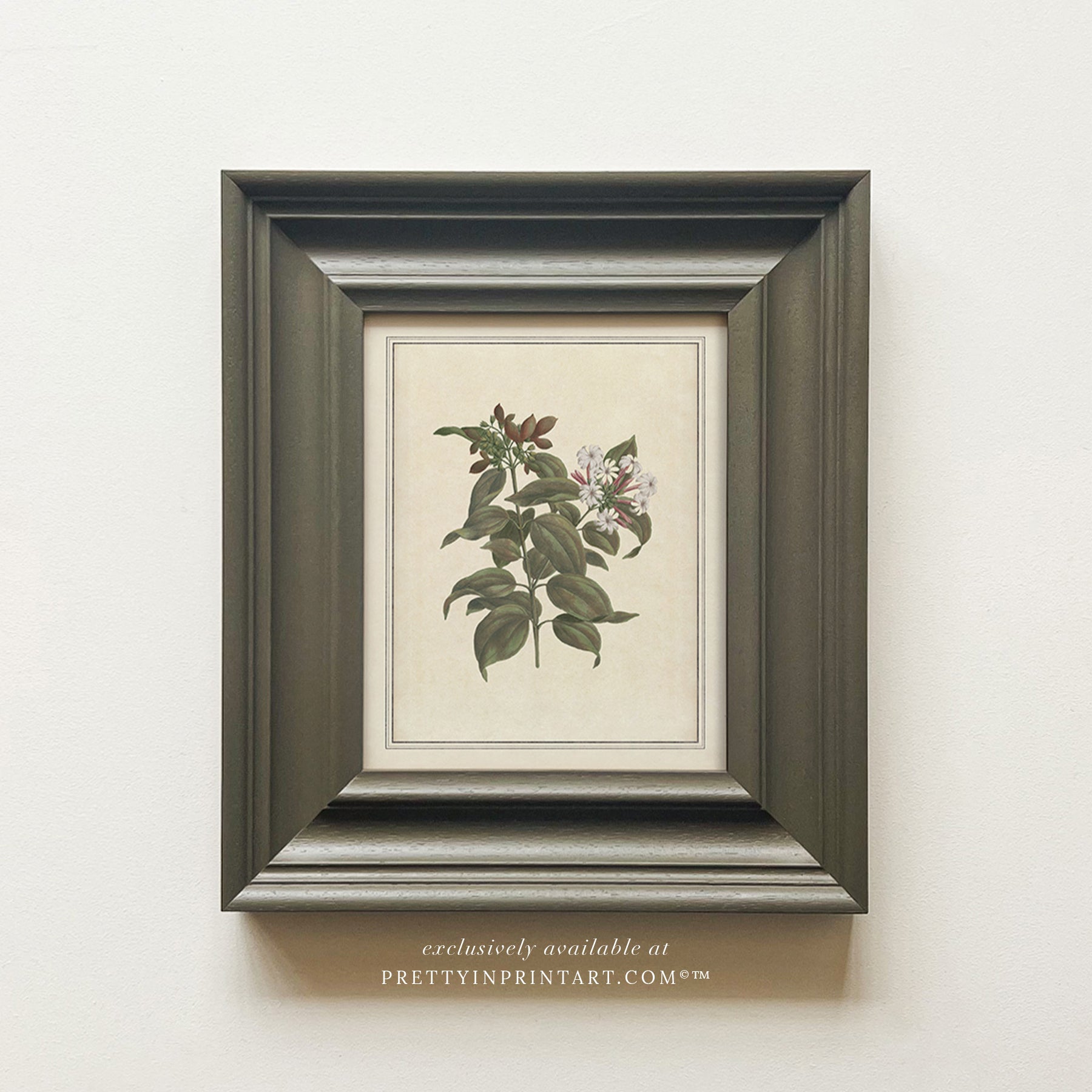 Framed vintage botanical art prints for home decor, Vintage plant wall art with traditional picture frame, Ready-to-hang vintage botanical artwork, Framed floral prints for cottagecore interiors