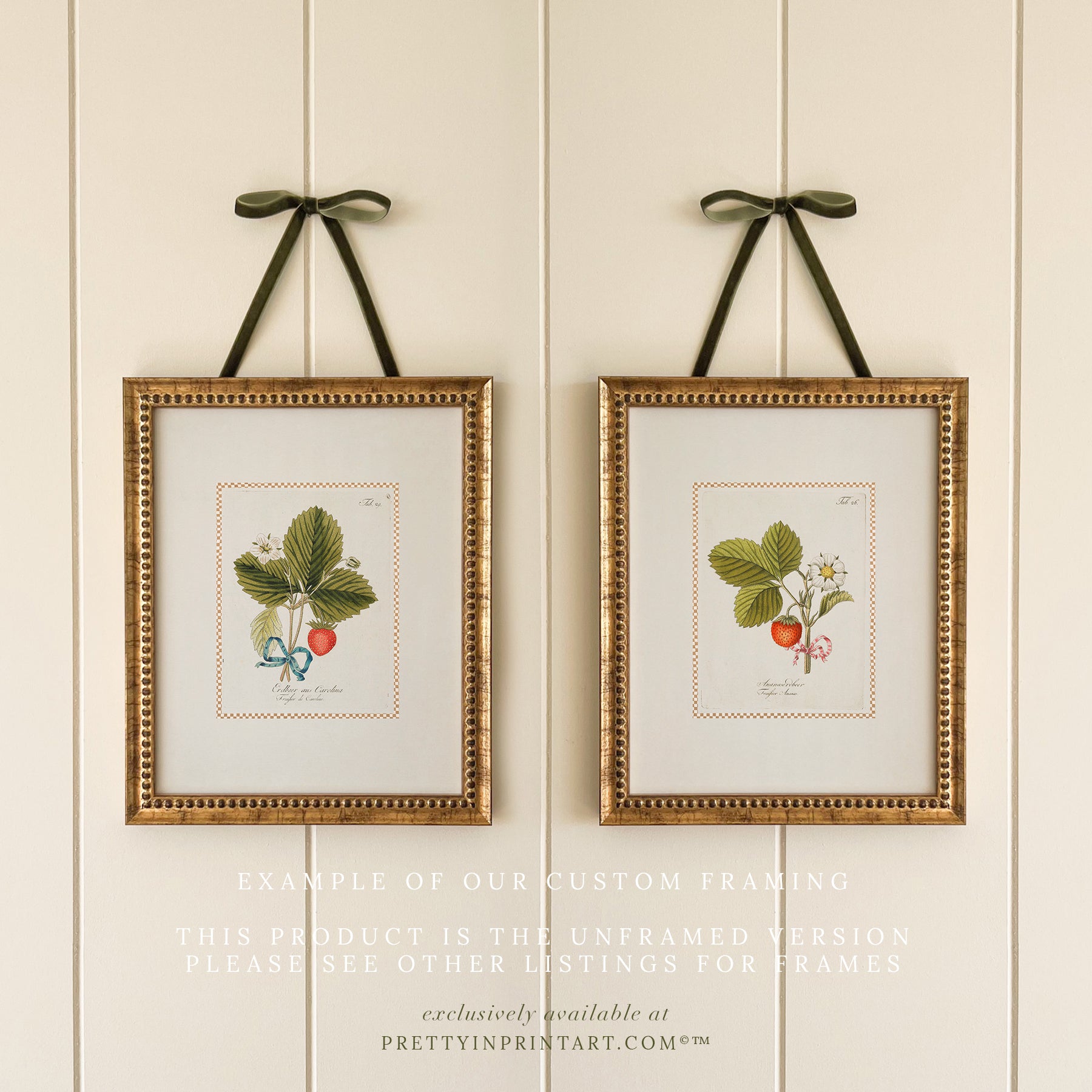 Vintage Art Print; Strawberry Plant 001 | Unframed