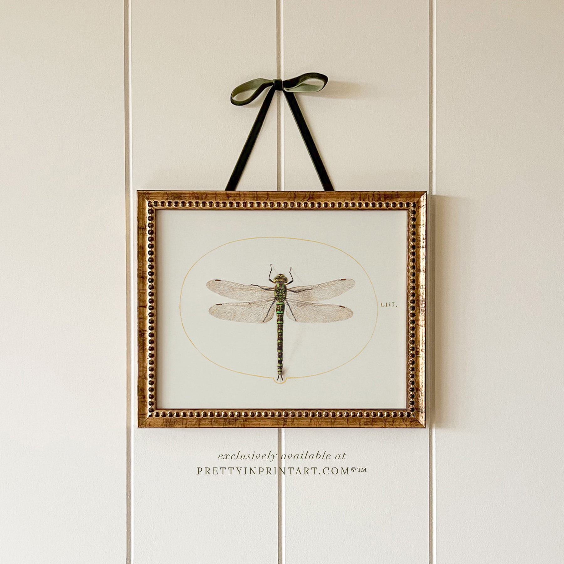 vintage-style nursery art prints featuring bugs, butterflies, beetles, and mini beasts in classic gold and wood frames for children's room decor.