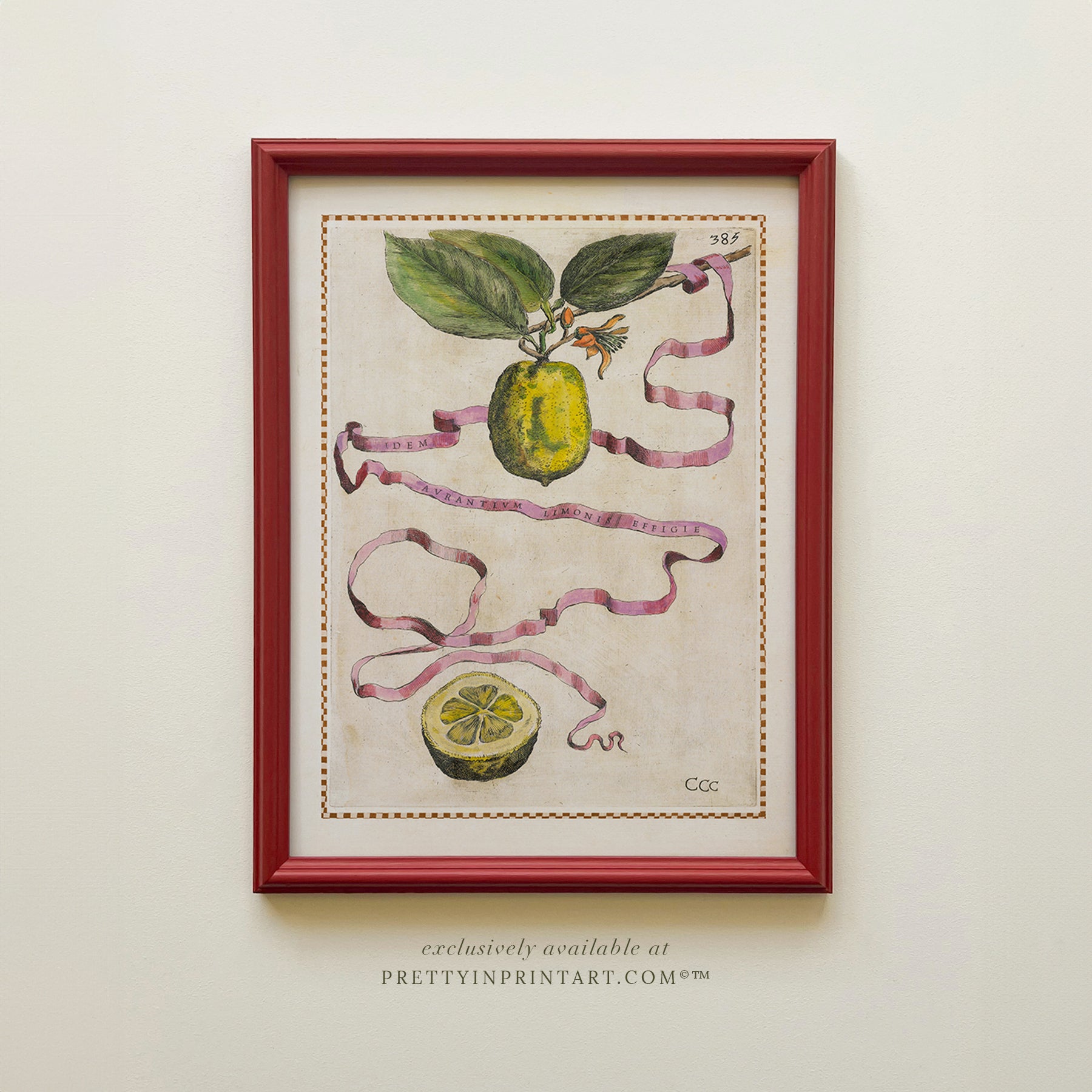 Framed Vintage Citrus Fruit Art for Kitchen – Red Farrow & Ball Frame Framed vintage citrus fruit kitchen art with red Farrow & Ball painted frame. Oranges, lemons, and limes botanical print for farmhouse or Mediterranean décor.