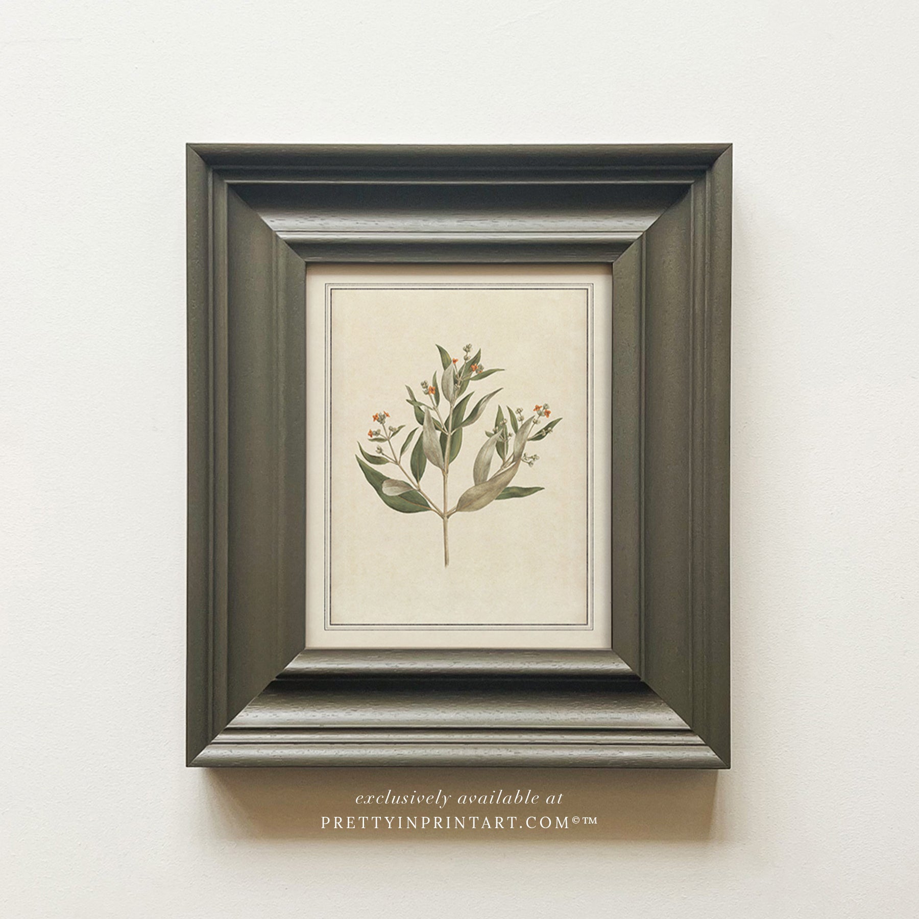 Framed vintage botanical art prints for home decor, Vintage plant wall art with traditional picture frame, Ready-to-hang vintage botanical artwork, Framed floral prints for cottagecore interiors
