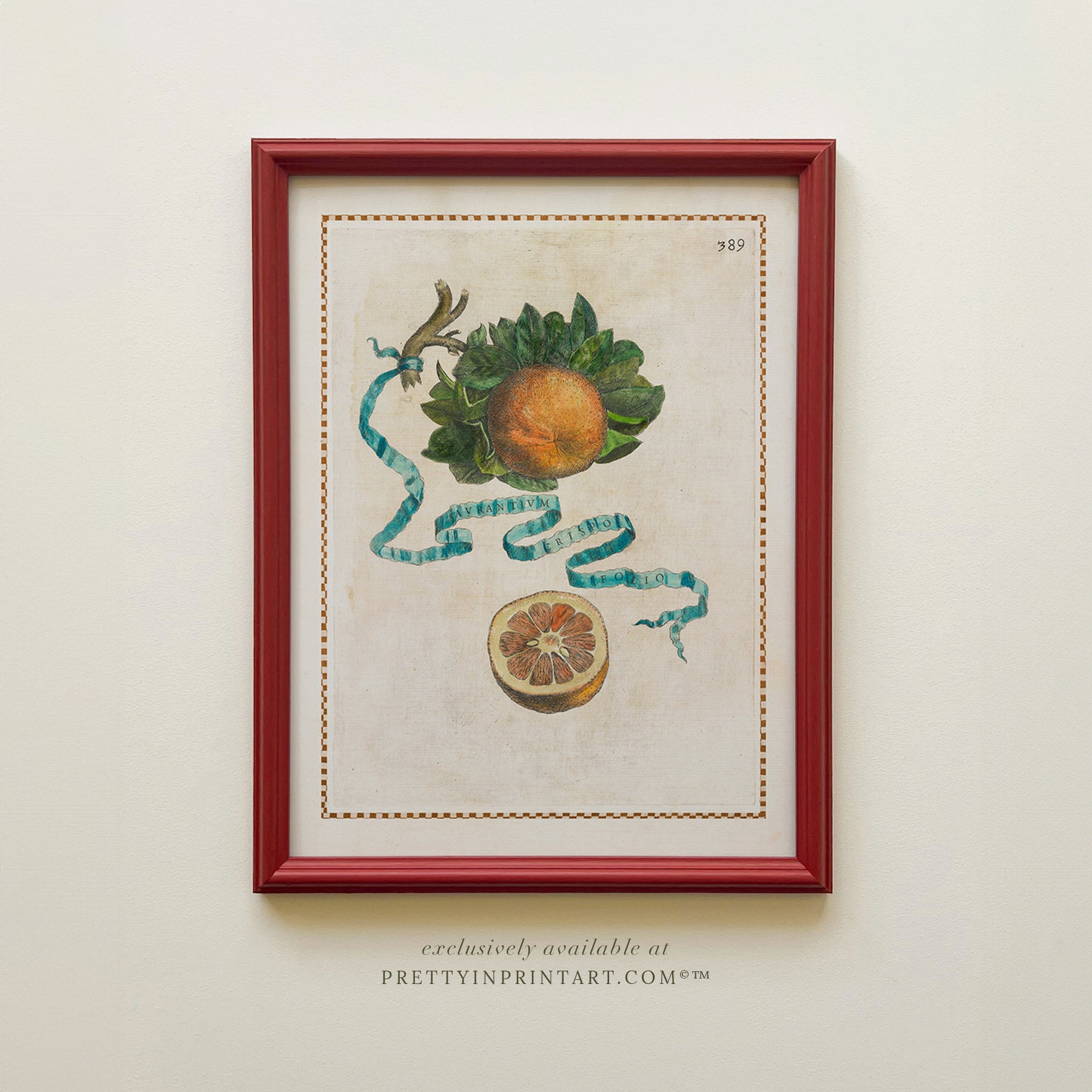 Framed Vintage Citrus Fruit Art for Kitchen – Red Farrow & Ball Frame Framed vintage citrus fruit kitchen art with red Farrow & Ball painted frame. Oranges, lemons, and limes botanical print for farmhouse or Mediterranean décor.