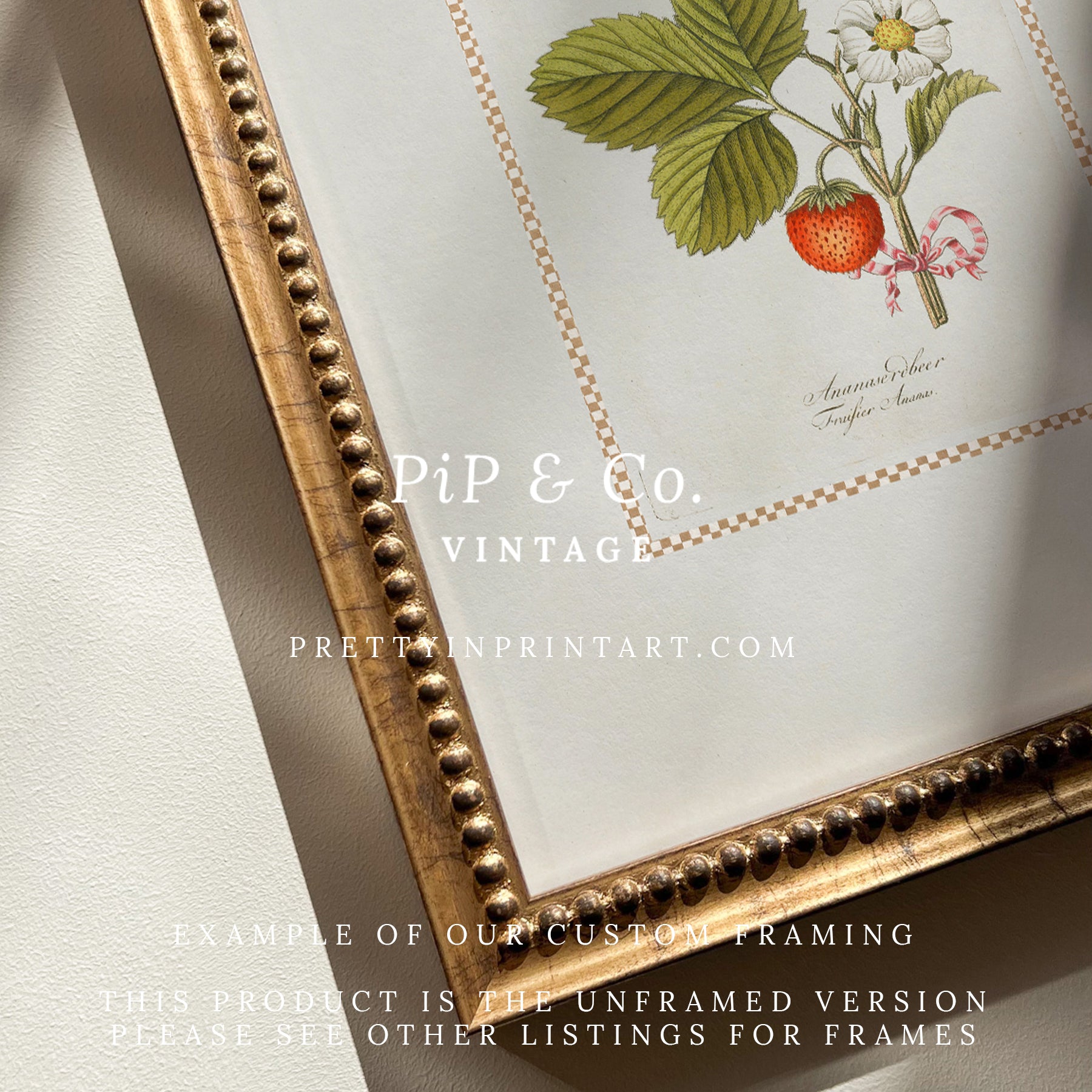 Vintage Art Print; Strawberry Plant 001 | Unframed