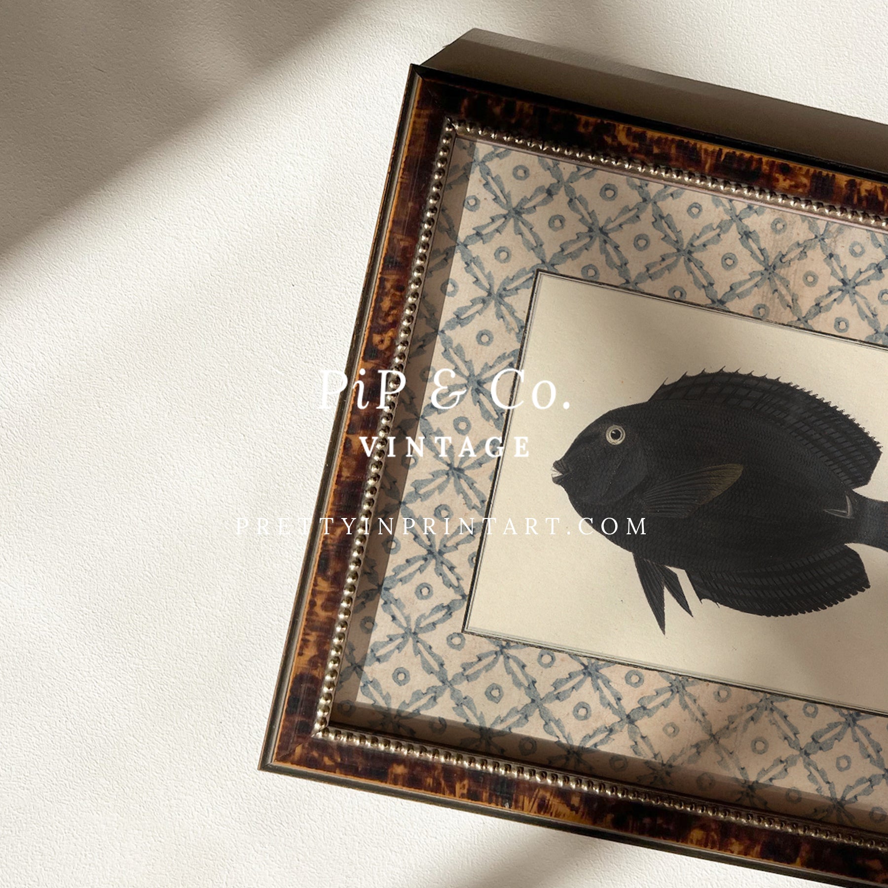 Vintage fish art, Antique fish prints, Vintage fish wall art, Fish illustration print, Vintage fish wall art prints for home decor, Antique fish illustrations for coastal decor, Rustic vintage fish prints for lake house, Framed fish art for nautical theme