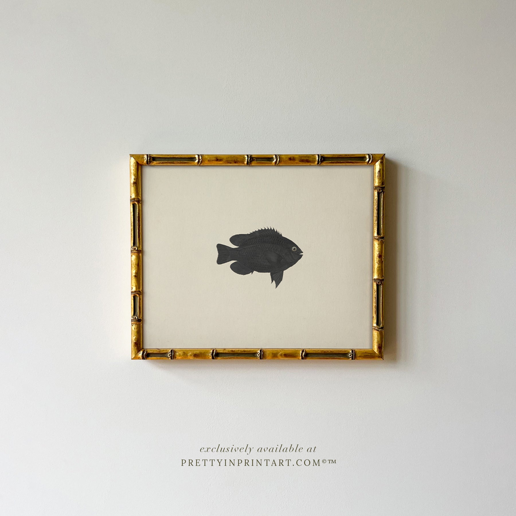 Vintage Fish Art Print 007014 in Gold Bamboo Frame (0178)