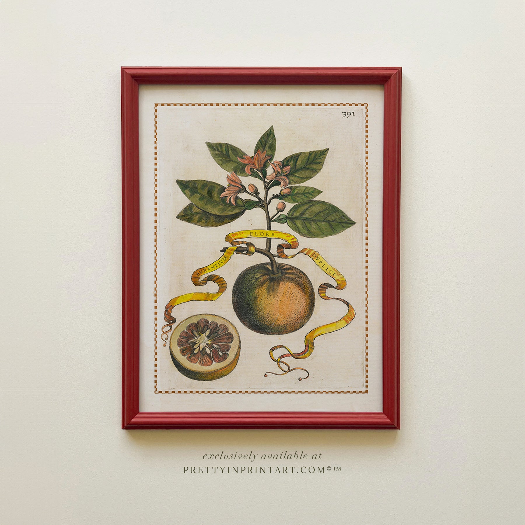 Framed Vintage Citrus Fruit Art for Kitchen – Red Farrow & Ball Frame Framed vintage citrus fruit kitchen art with red Farrow & Ball painted frame. Oranges, lemons, and limes botanical print for farmhouse or Mediterranean décor.