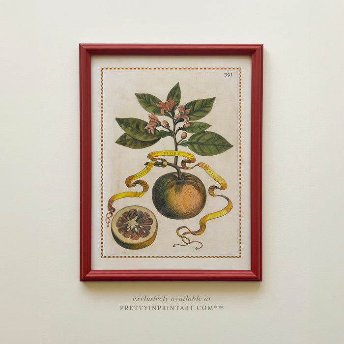 Citrus Prints, Red Hand-Painted Frames