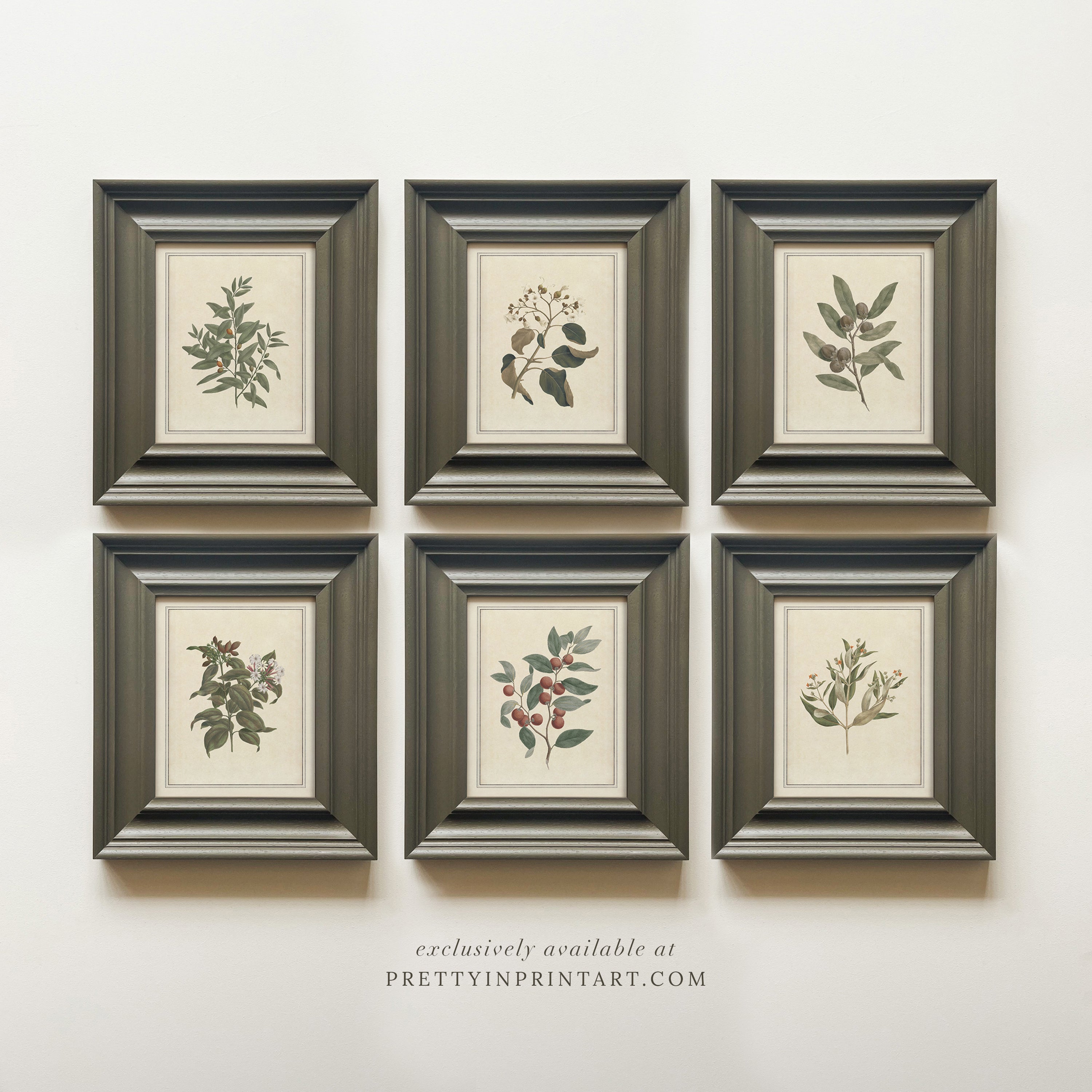 Framed vintage botanical art prints for home decor, Vintage plant wall art with traditional picture frame, Ready-to-hang vintage botanical artwork, Framed floral prints for cottagecore interiors