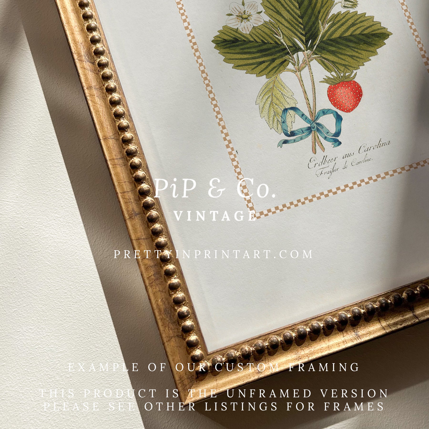 Vintage Art Print; Strawberry Plant 002 | Unframed