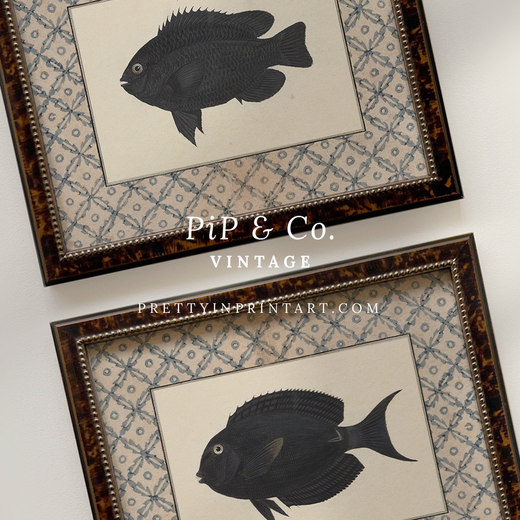 Vintage fish art, Antique fish prints, Vintage fish wall art, Fish illustration print, Vintage fish wall art prints for home decor, Antique fish illustrations for coastal decor, Rustic vintage fish prints for lake house, Framed fish art for nautical theme