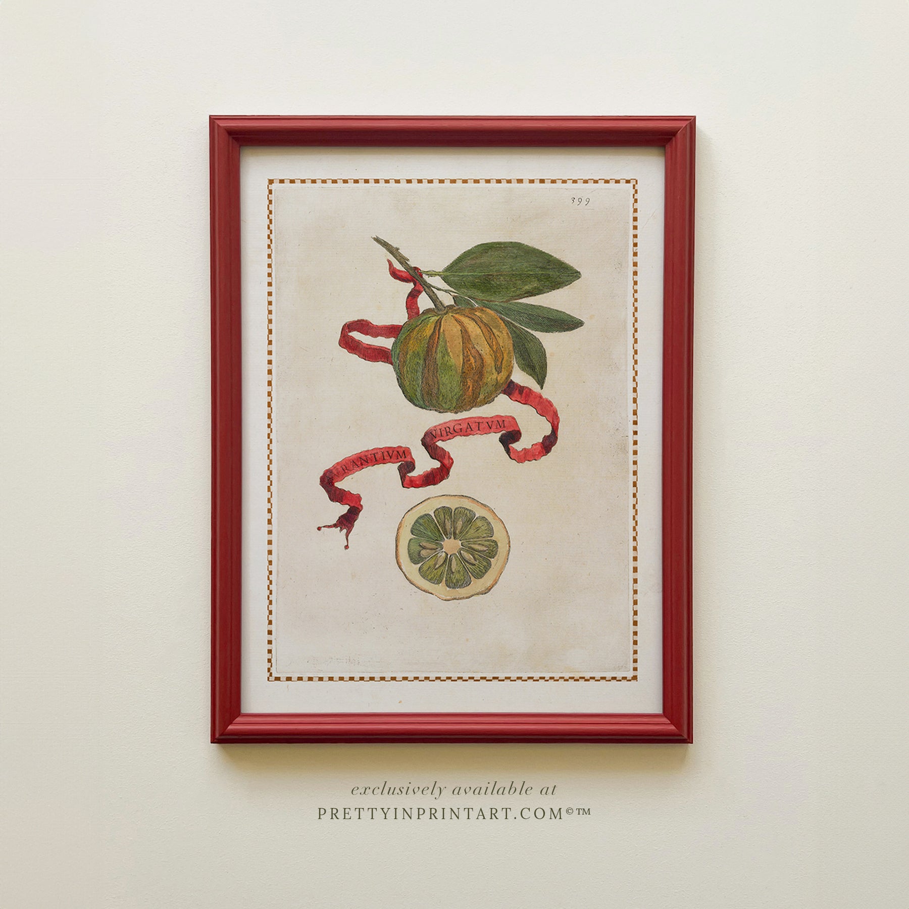 Framed Vintage Citrus Fruit Art for Kitchen – Red Farrow & Ball Frame Framed vintage citrus fruit kitchen art with red Farrow & Ball painted frame. Oranges, lemons, and limes botanical print for farmhouse or Mediterranean décor.