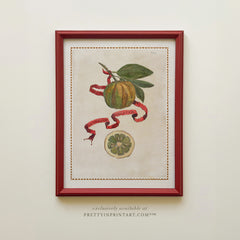 Framed Vintage Citrus Fruit Kitchen Art – Red Farrow & Ball Frame 001