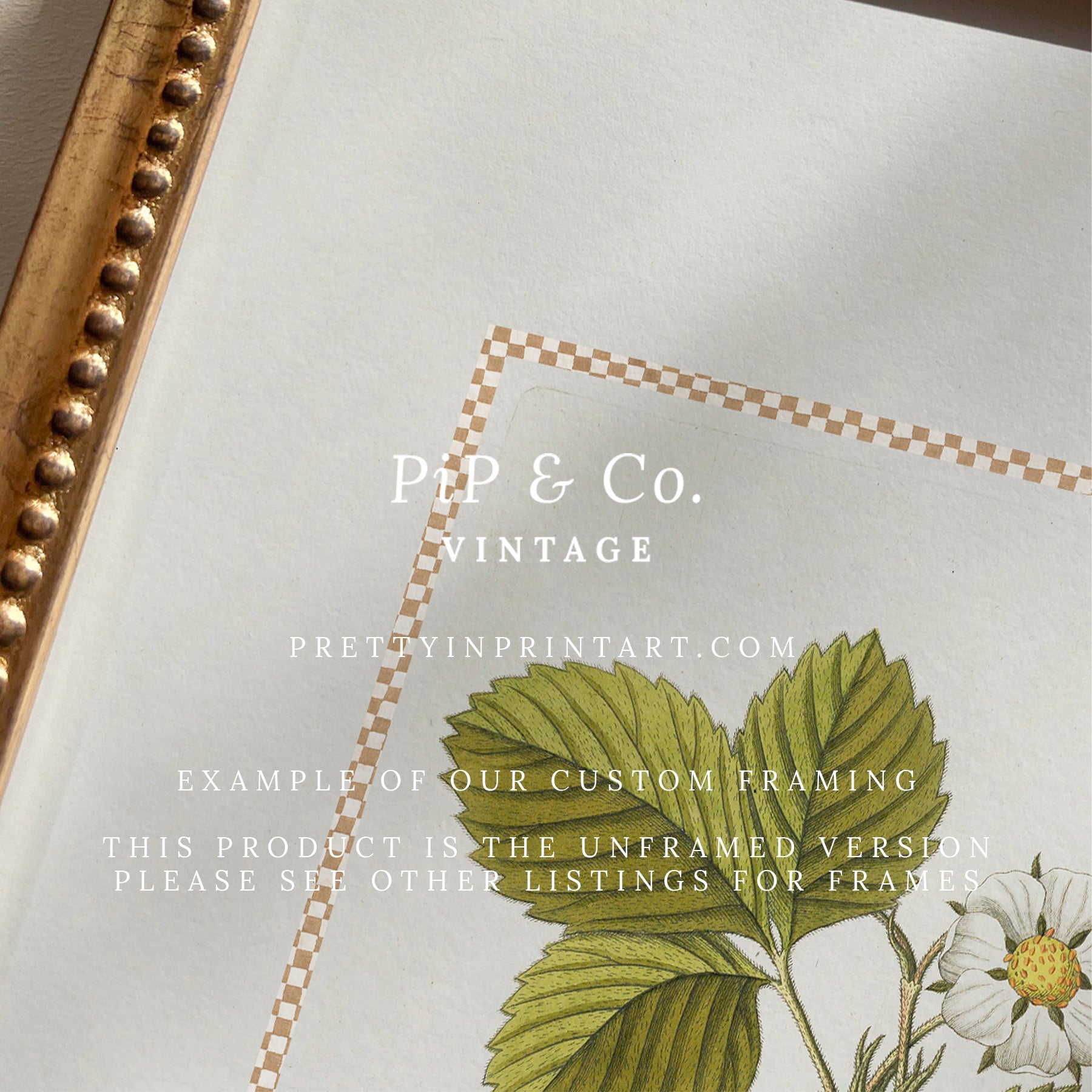 Vintage Art Print; Strawberry Plant 001 | Unframed