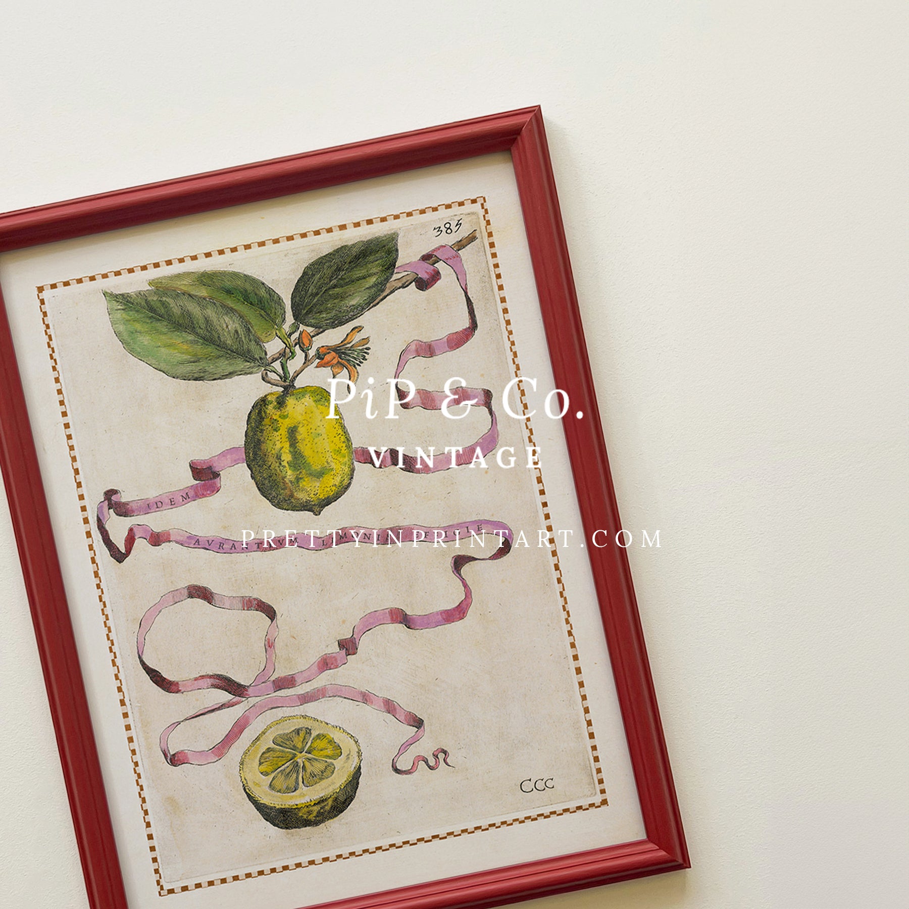 Framed Vintage Citrus Fruit Art for Kitchen – Red Farrow & Ball Frame Framed vintage citrus fruit kitchen art with red Farrow & Ball painted frame. Oranges, lemons, and limes botanical print for farmhouse or Mediterranean décor.