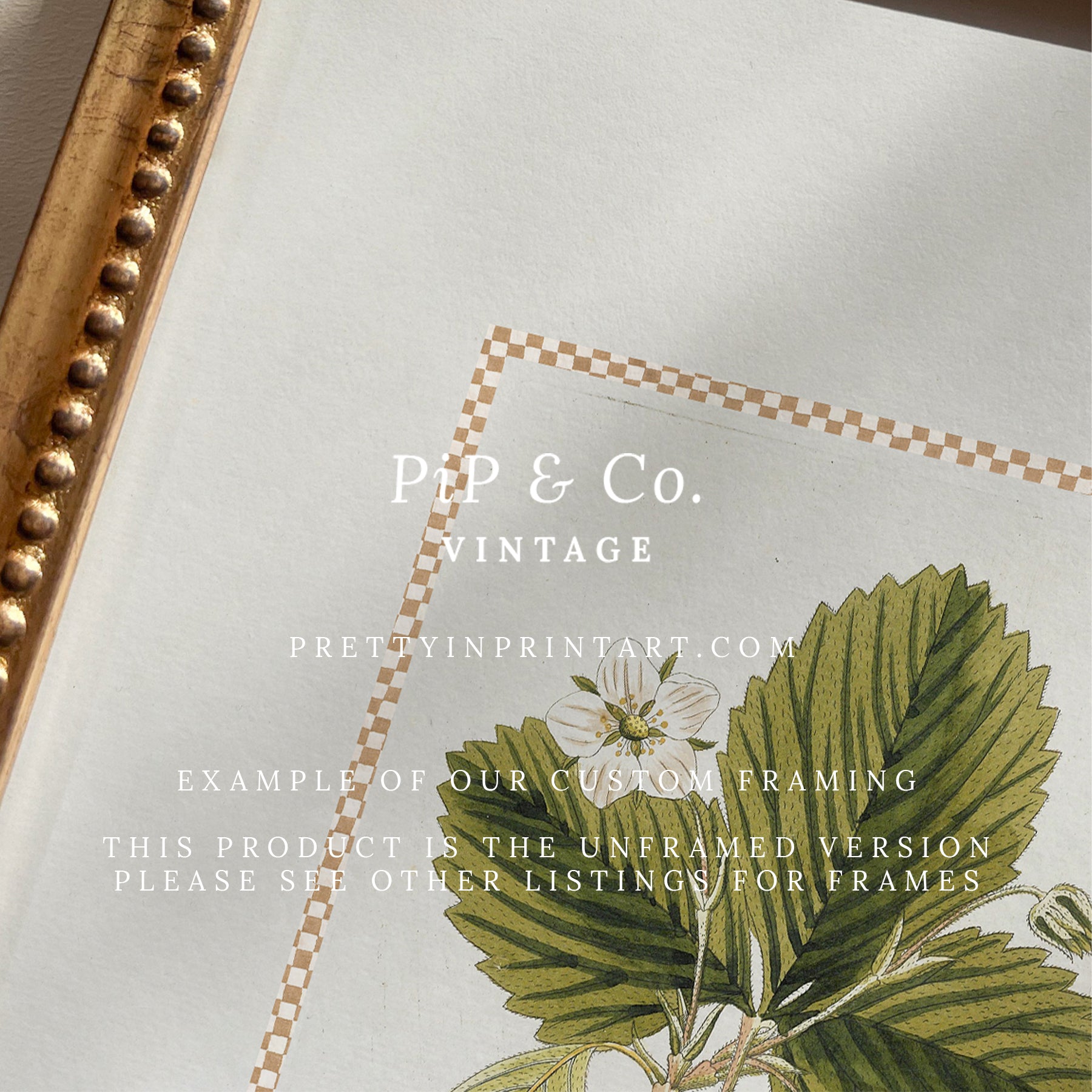 Vintage Art Print; Strawberry Plant 002 | Unframed