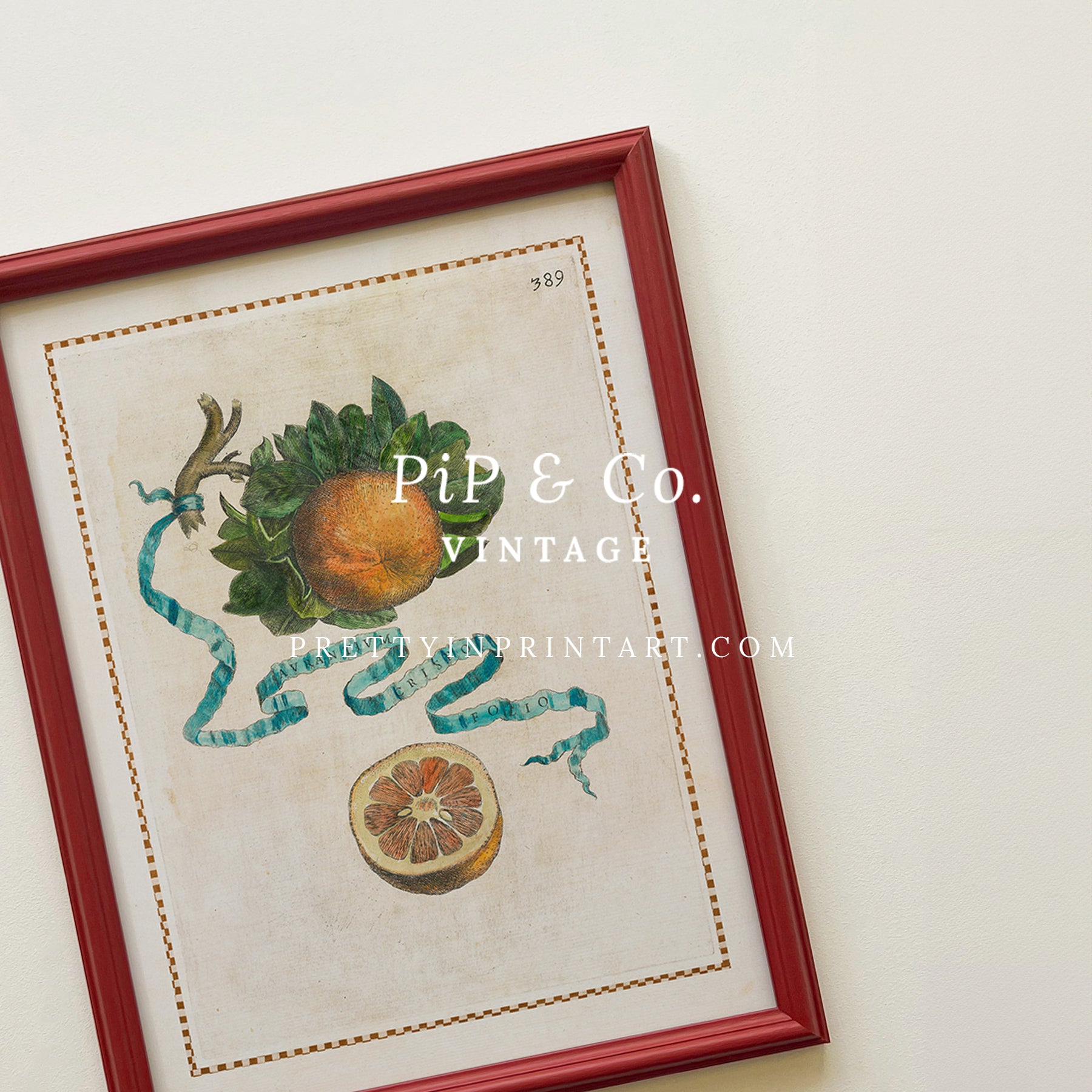 Framed Vintage Citrus Fruit Art for Kitchen – Red Farrow & Ball Frame Framed vintage citrus fruit kitchen art with red Farrow & Ball painted frame. Oranges, lemons, and limes botanical print for farmhouse or Mediterranean décor.