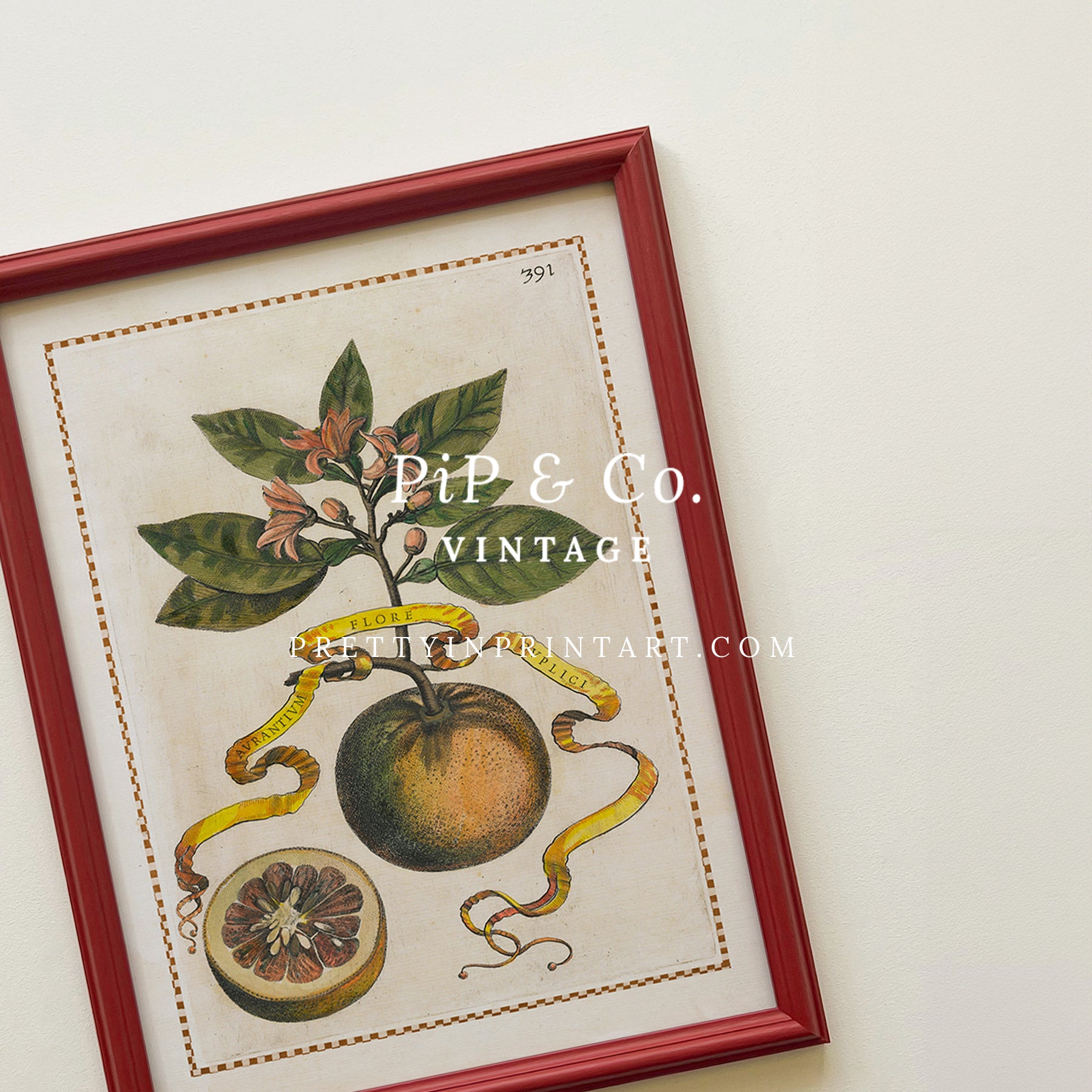 Framed Vintage Citrus Fruit Art for Kitchen – Red Farrow & Ball Frame Framed vintage citrus fruit kitchen art with red Farrow & Ball painted frame. Oranges, lemons, and limes botanical print for farmhouse or Mediterranean décor.