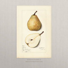 Vintage Pear Fruit Art Print – Antique Botanical Still Life Wall Art, Unframed (001)