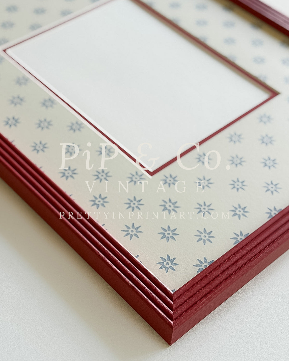 Red Hand Painted Frame | Wallpapered Mount (SW9+M18)
