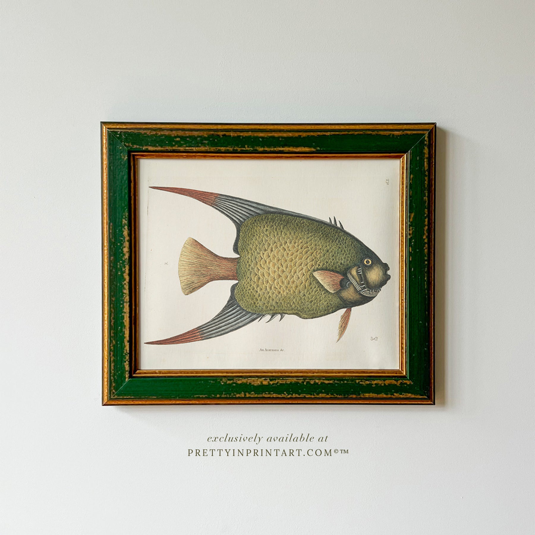 Vintage inspired picture frames for gallery wall ideas and classic antique style interiors