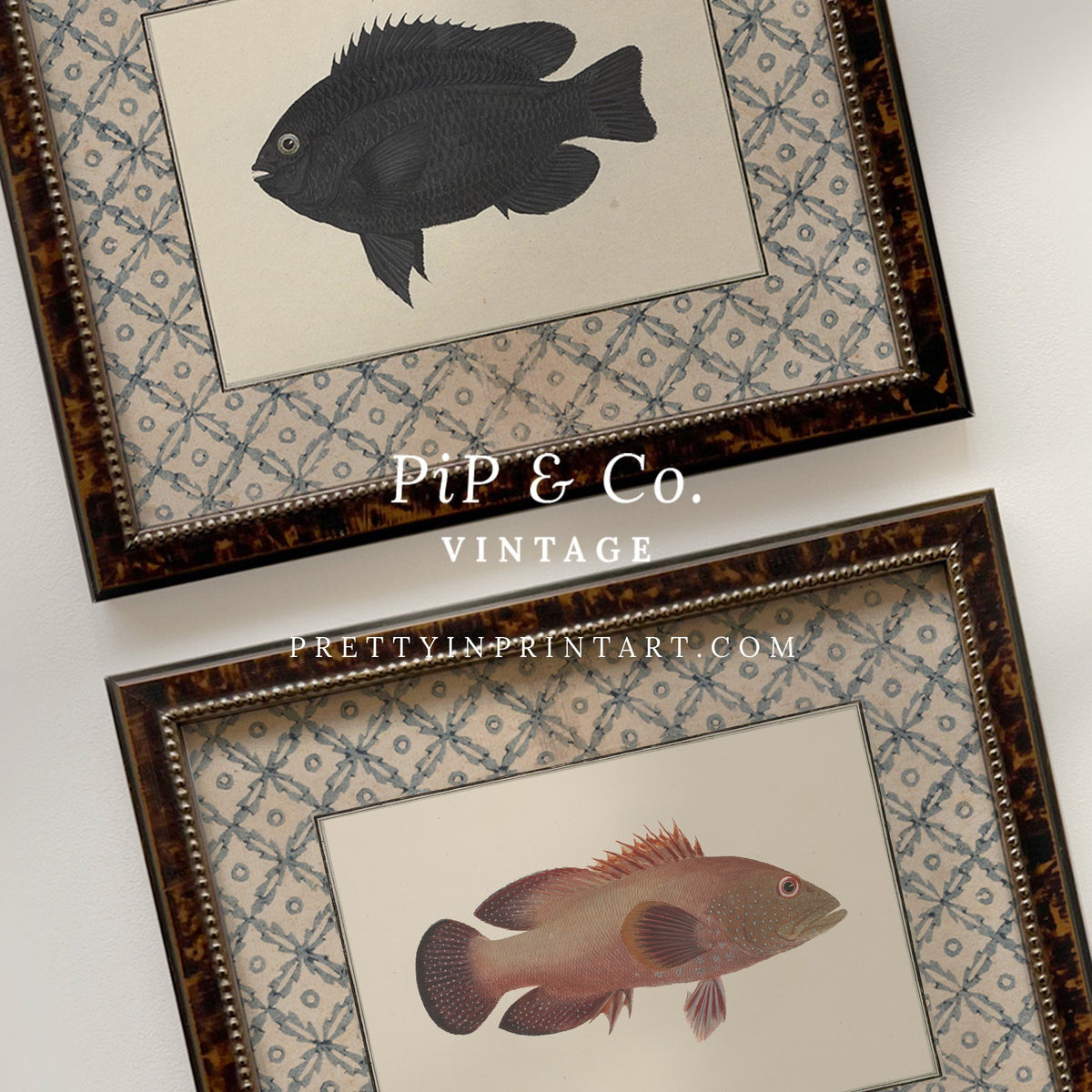 Vintage plum and rust fish art print shown alongside the matching Black Fish print (sold separately) in tortoiseshell-style wooden frames