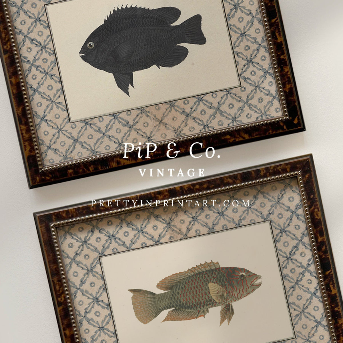 Vintage olive-green fish art print shown alongside the matching Black Fish print (sold separately) in tortoiseshell-style wooden frames