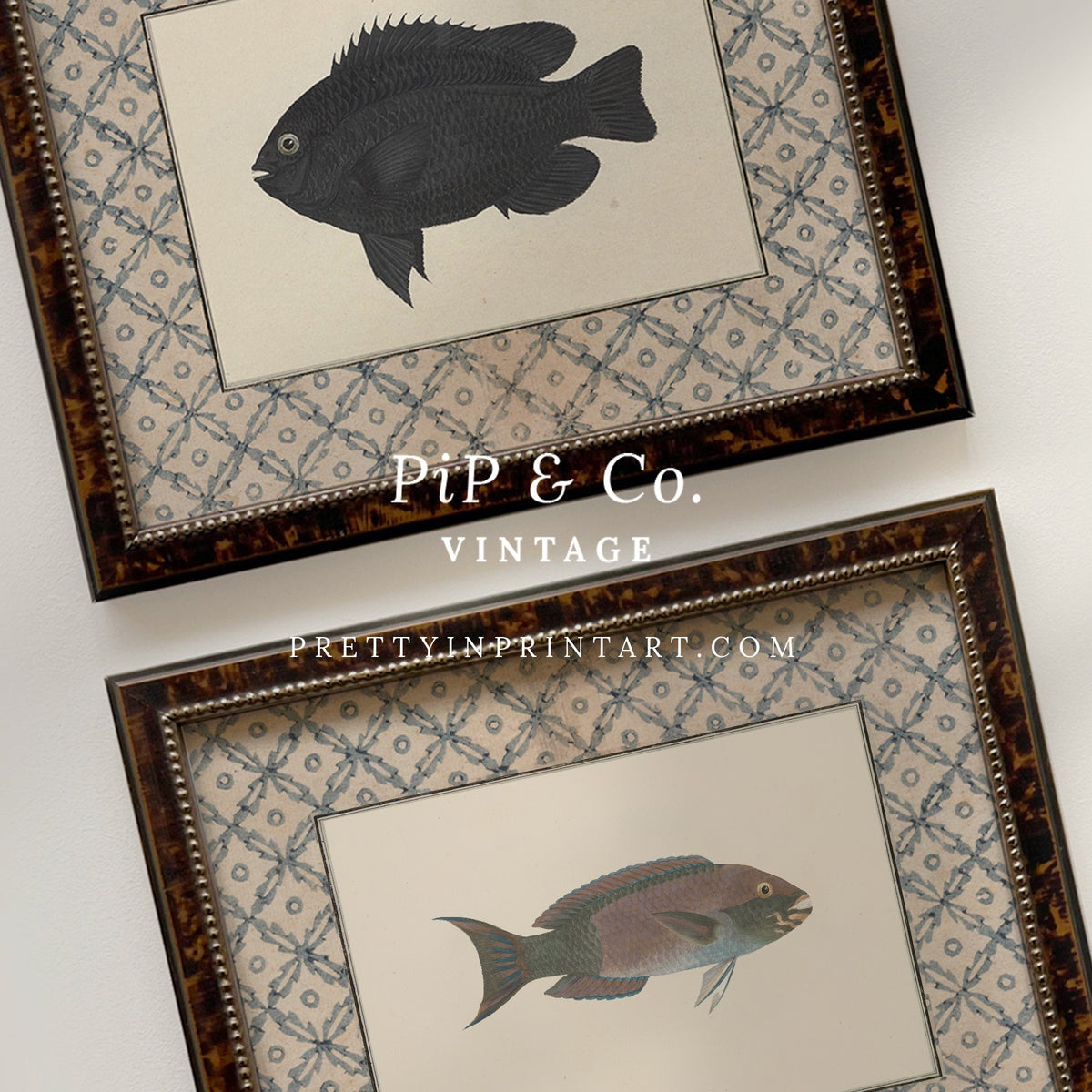 Vintage dusky blue-grey fish art print shown alongside the matching Black Fish print (sold separately) in tortoiseshell-style wooden frames