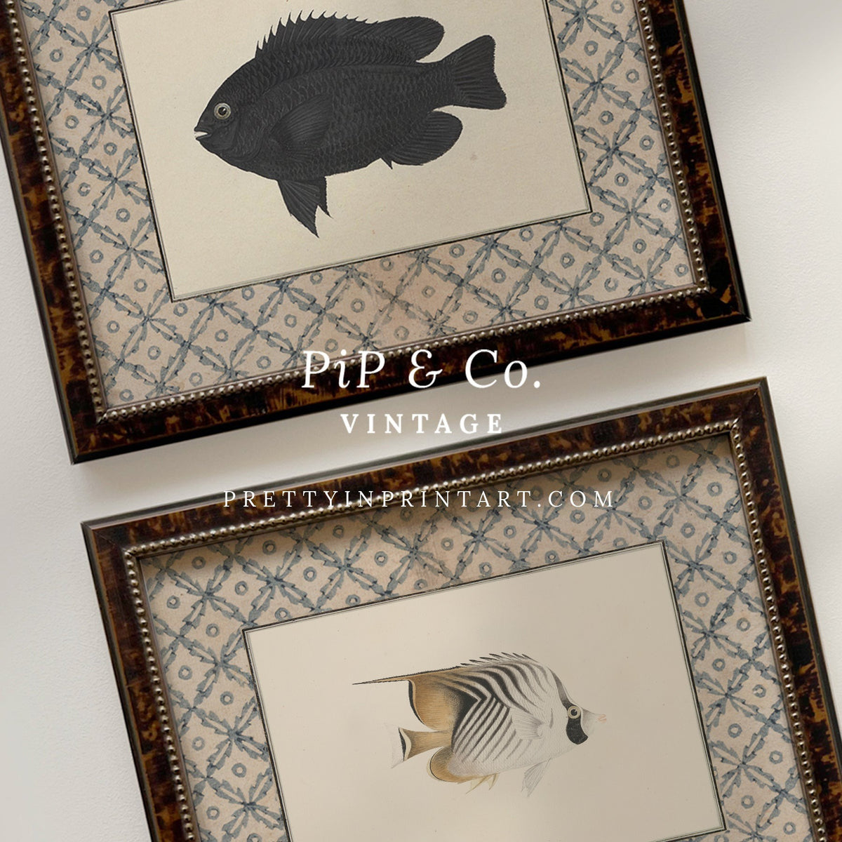 Vintage striped cream and gold butterflyfish art print shown alongside the matching Black Fish print (sold separately) in tortoiseshell-style wooden frames