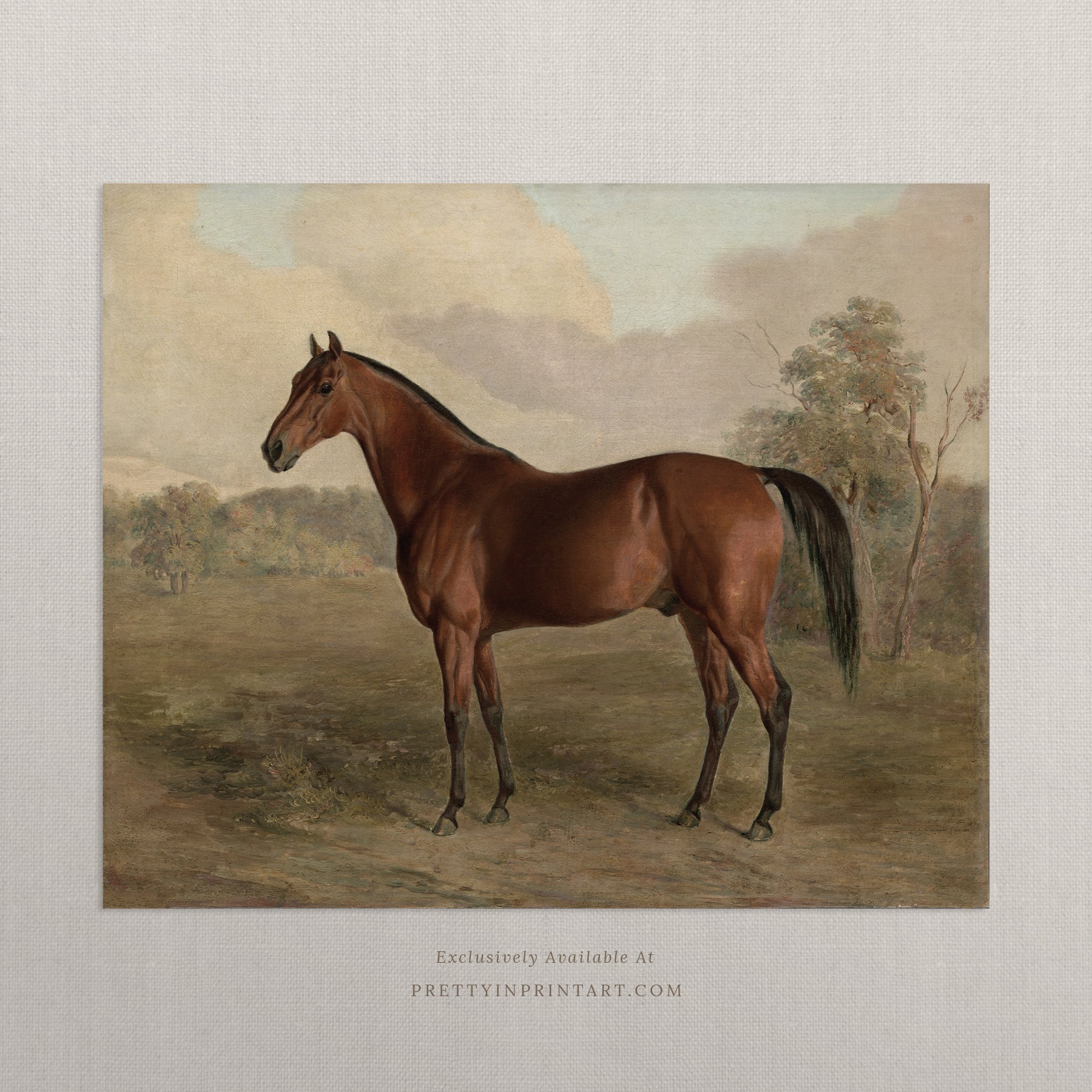 Vintage horse nursery art in classic picture frame Equestrian nursery prints Horse wall art for nursery Antique horse prints for nursery Vintage equestrian nursery decor Pony nursery art print Traditional horse nursery artwork Storybook horse illustration