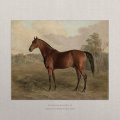 Vintage Horse Art Print – Antique Equestrian Wall Art for Nursery & Farmhouse, Unframed, Landscape (008565)