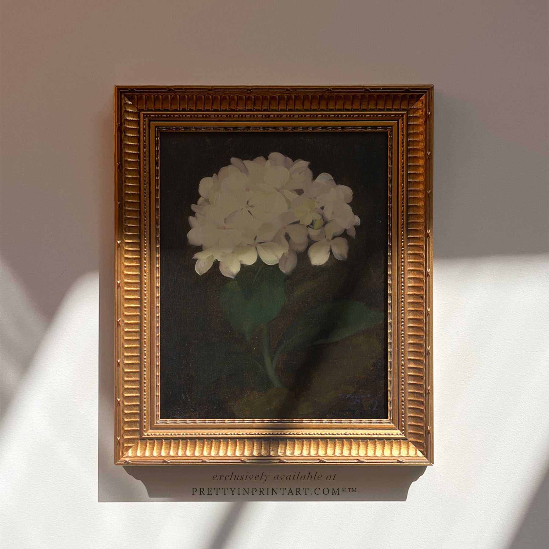 Framed Flower Art (00847 + GLD-RIB-68224)