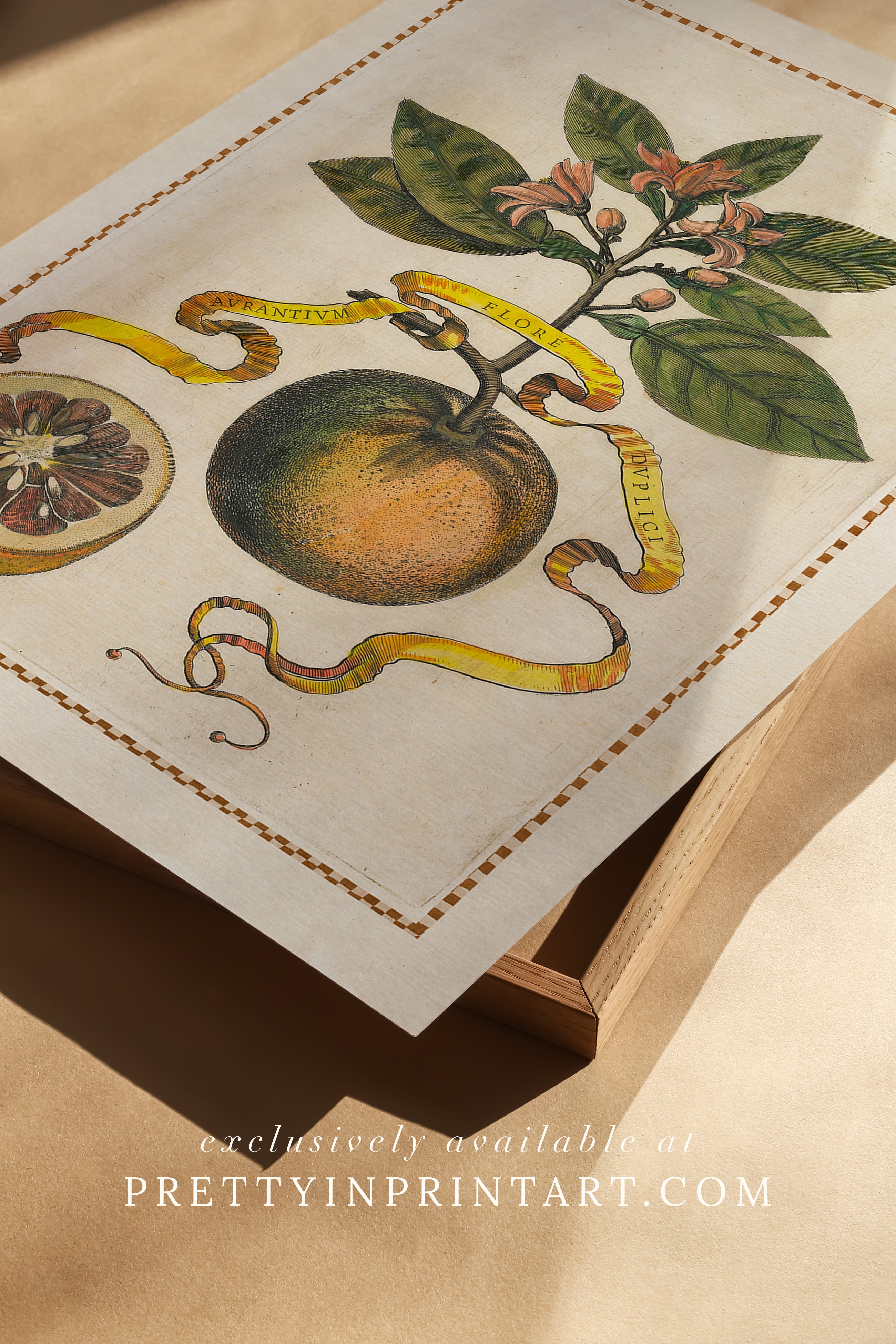 Unframed Vintage Fruit Prints for Kitchen or Dining Room Set of 4 vintage citrus fruit prints – unframed wall art for kitchen or dining room. Oranges, lemons & limes in botanical style for classic home décor.