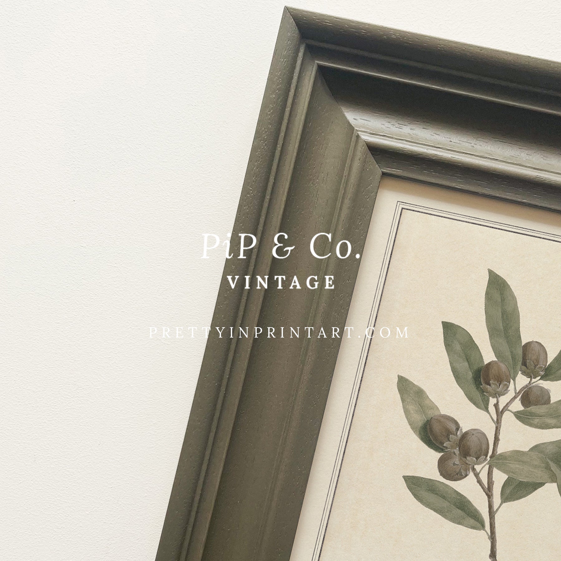 Framed vintage botanical art prints for home decor, Vintage plant wall art with traditional picture frame, Ready-to-hang vintage botanical artwork, Framed floral prints for cottagecore interiors