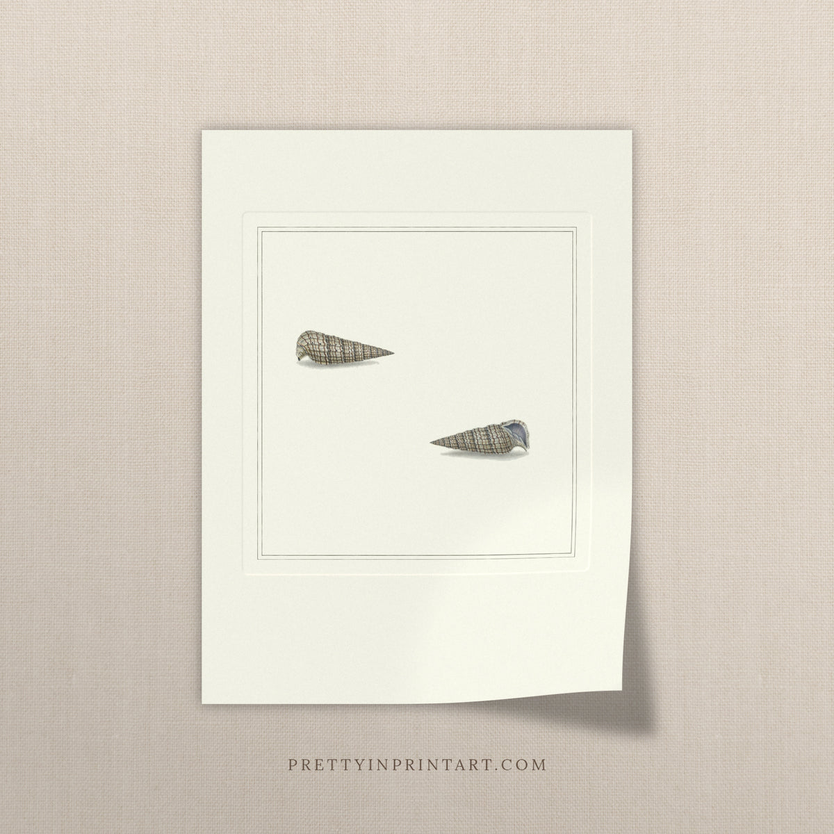 Vintage slender auger shells print, unframed, on a linen background