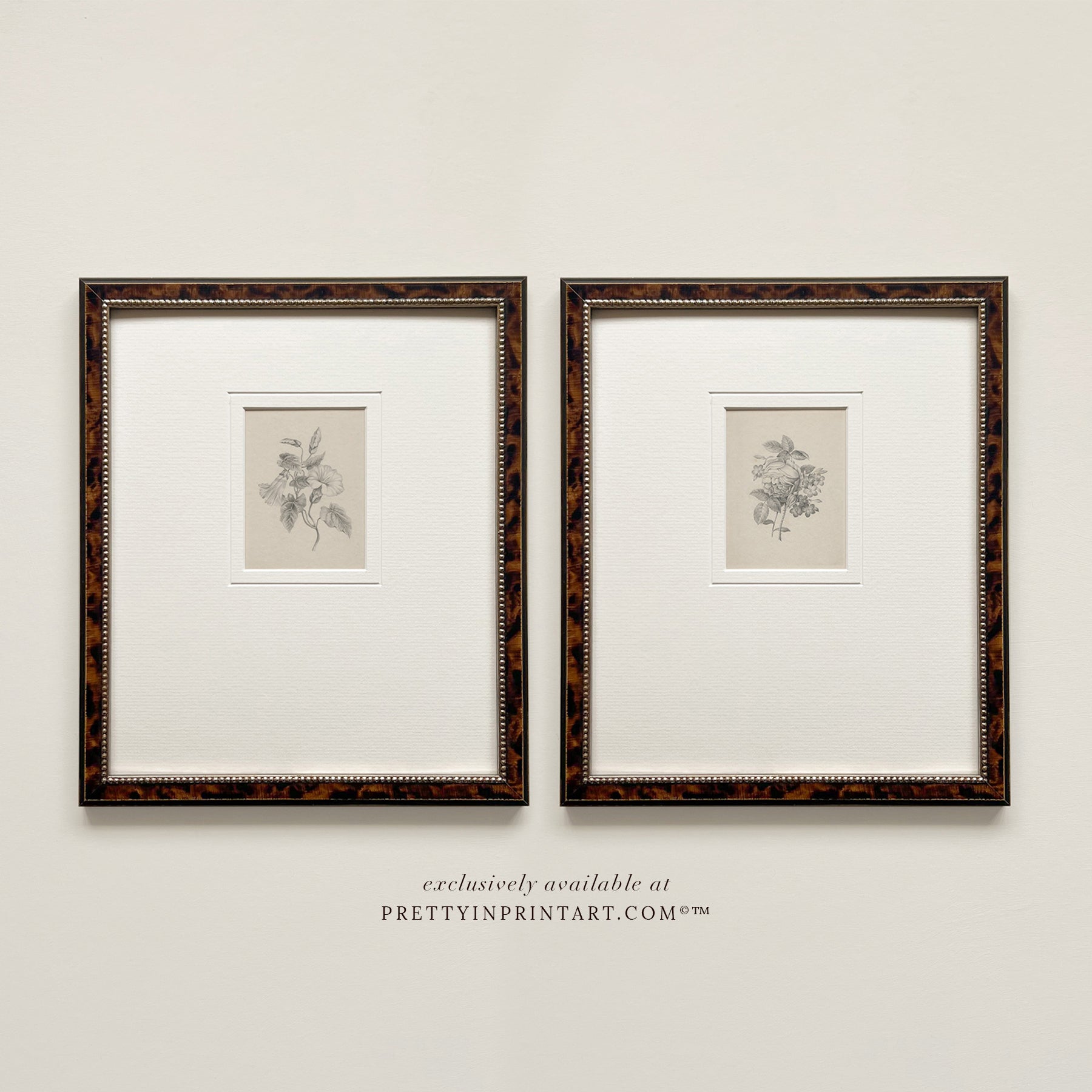 Flower pencil drawing, Floral still life vintage art, Vintage still life art, Framed vintage still life art, Classic picture frame, Vintage-style frame, Framed wall art vintage