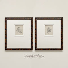 Vintage Flower Pencil Drawing Art Print – Framed & Mounted in Tortoiseshell-Effect Wood Frame