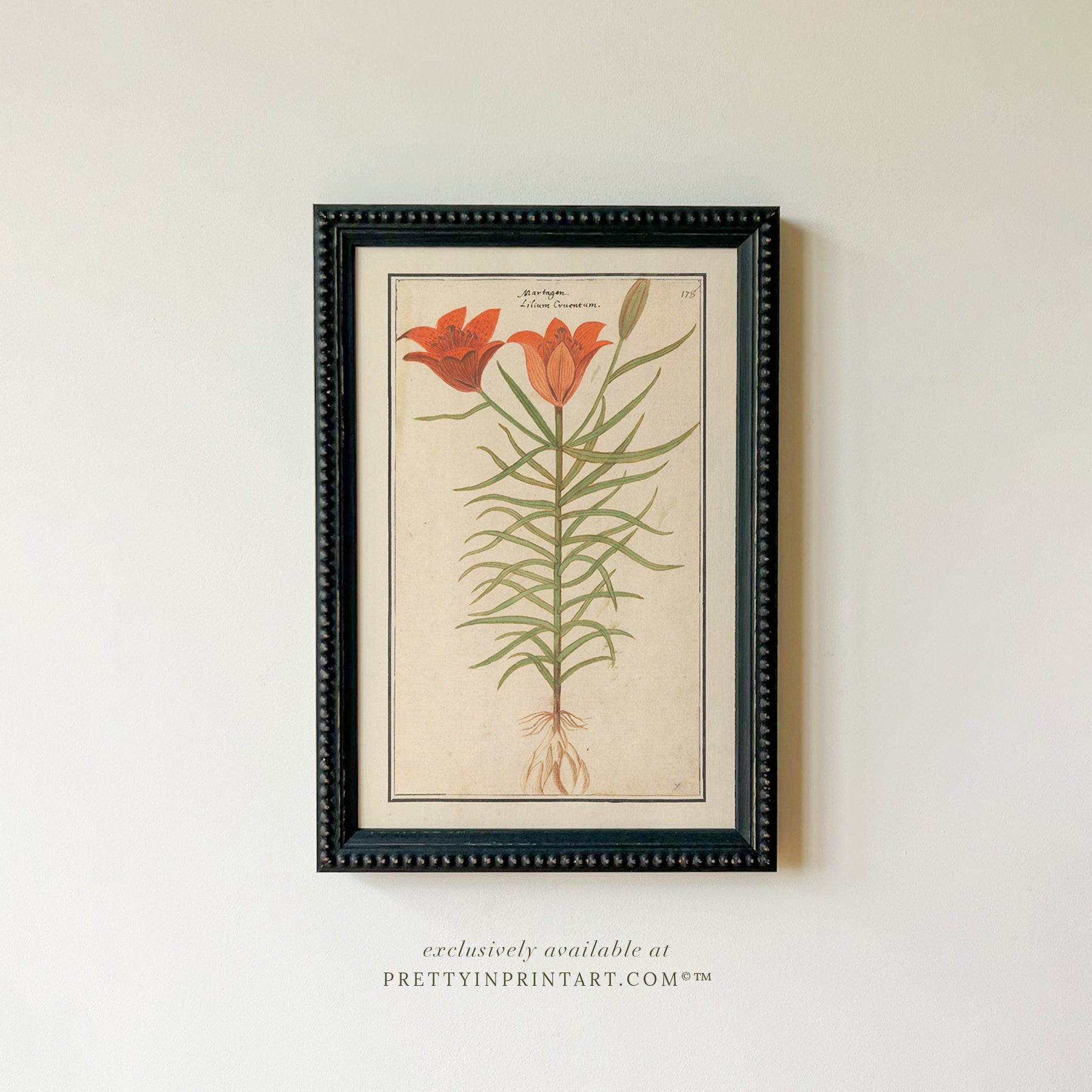 Framed Vintage Flower Art | 002