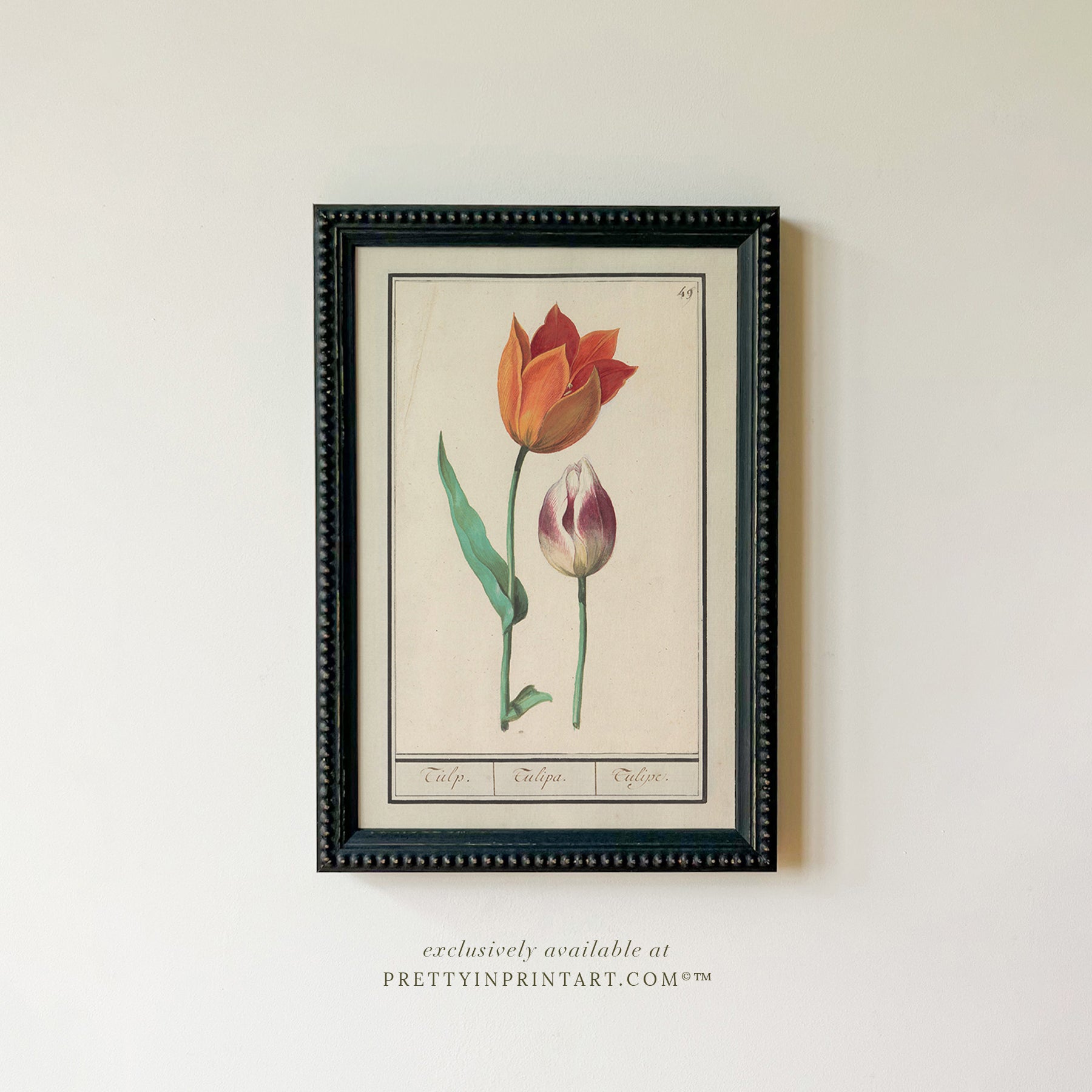 Framed Vintage Flower Art | 002