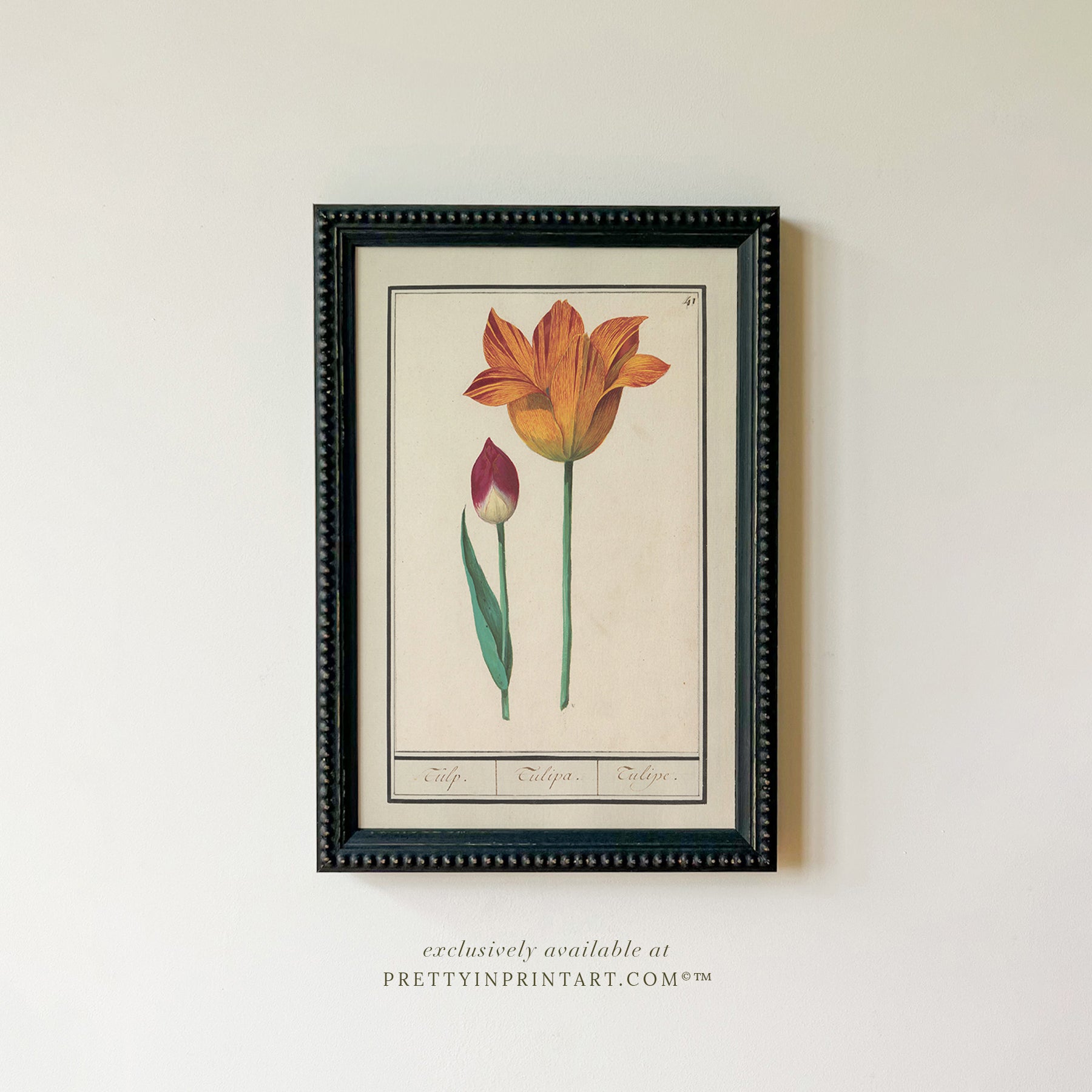 Framed Vintage Flower Art | 002