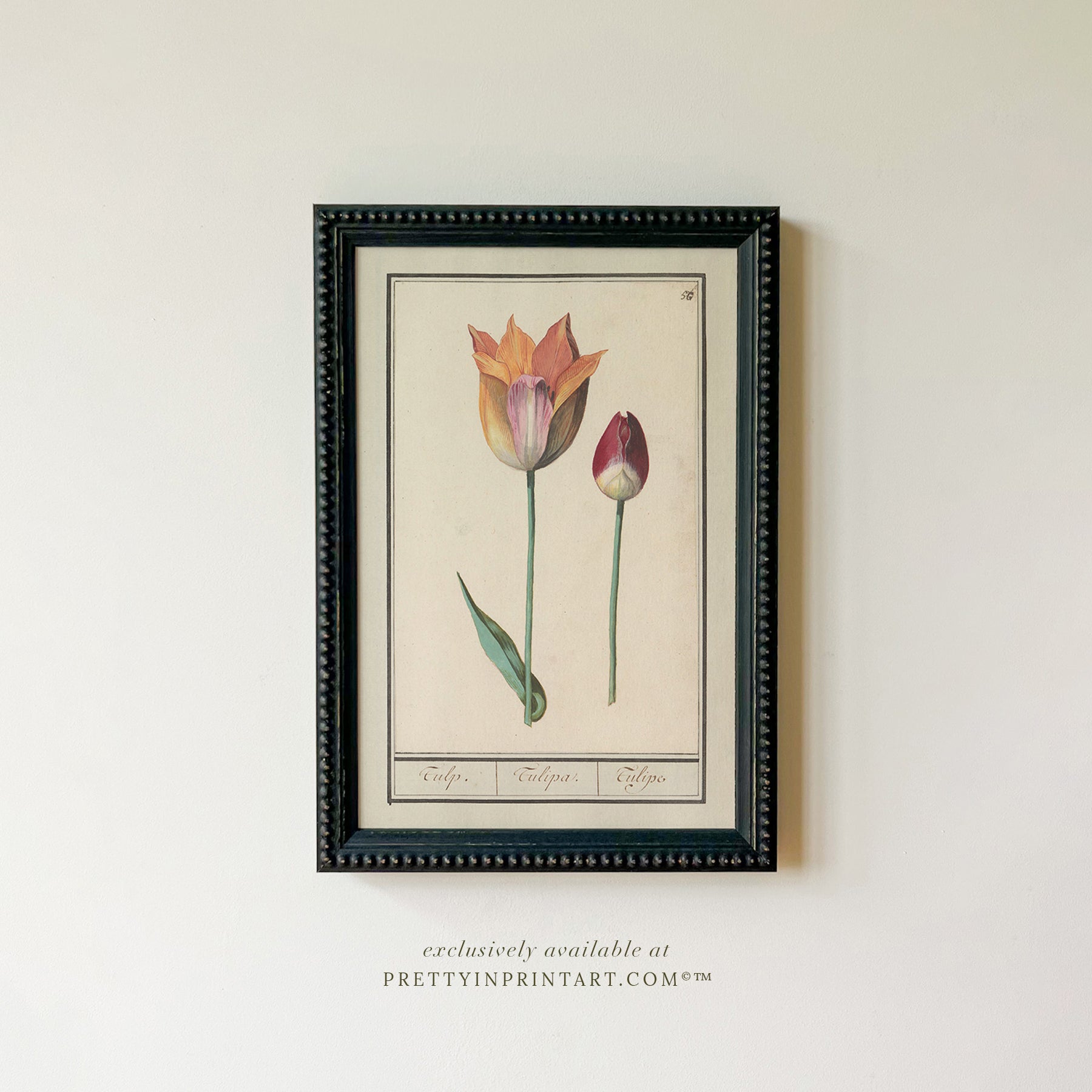 Framed Vintage Flower Art | 002