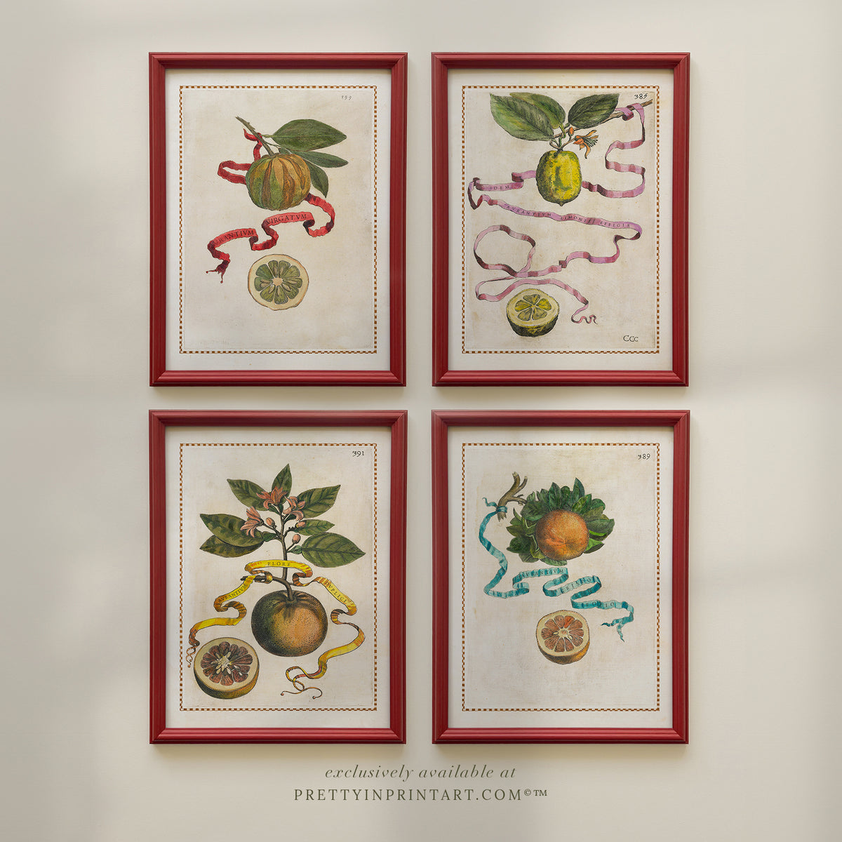 Unframed Vintage Fruit Art Print – Botanical Kitchen Wall Décor Unframed vintage fruit print for kitchen or dining room – lemons, limes, and oranges in botanical style. Ideal for classic or farmhouse décor.
