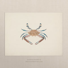Vintage Crab Art Print – Antique Style Coastal Wall Art, Unframed (00705)
